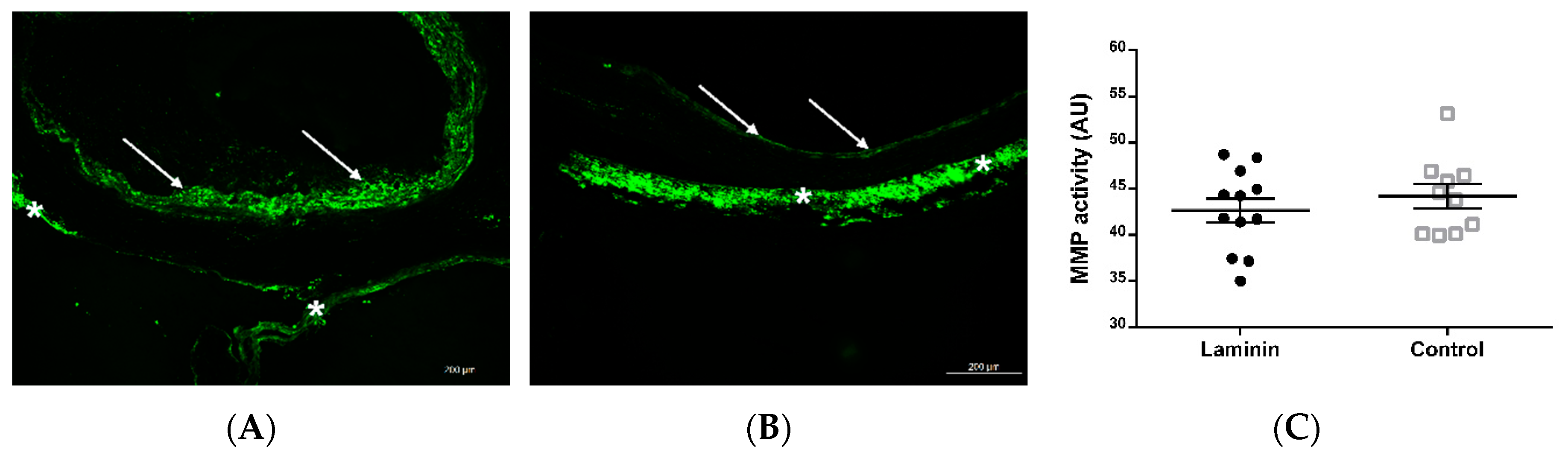 Materials 12 03351 g007