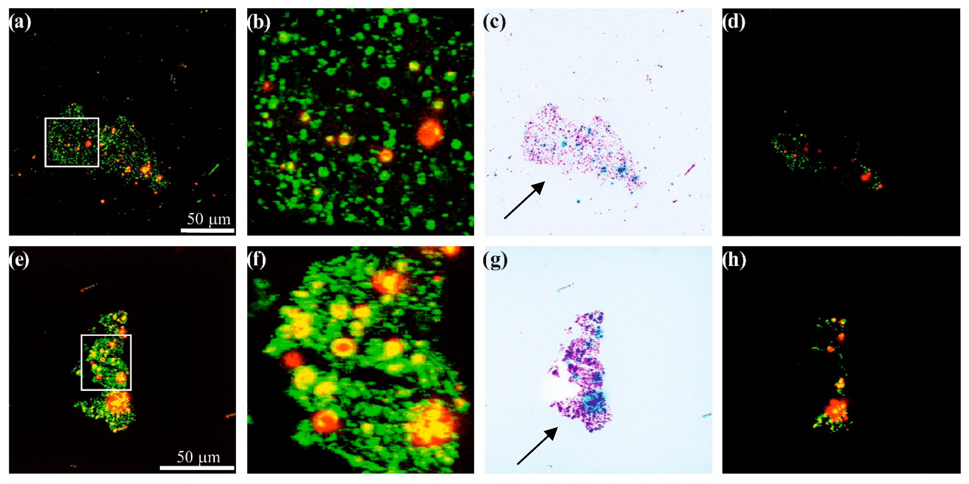 Materials 12 03354 g005