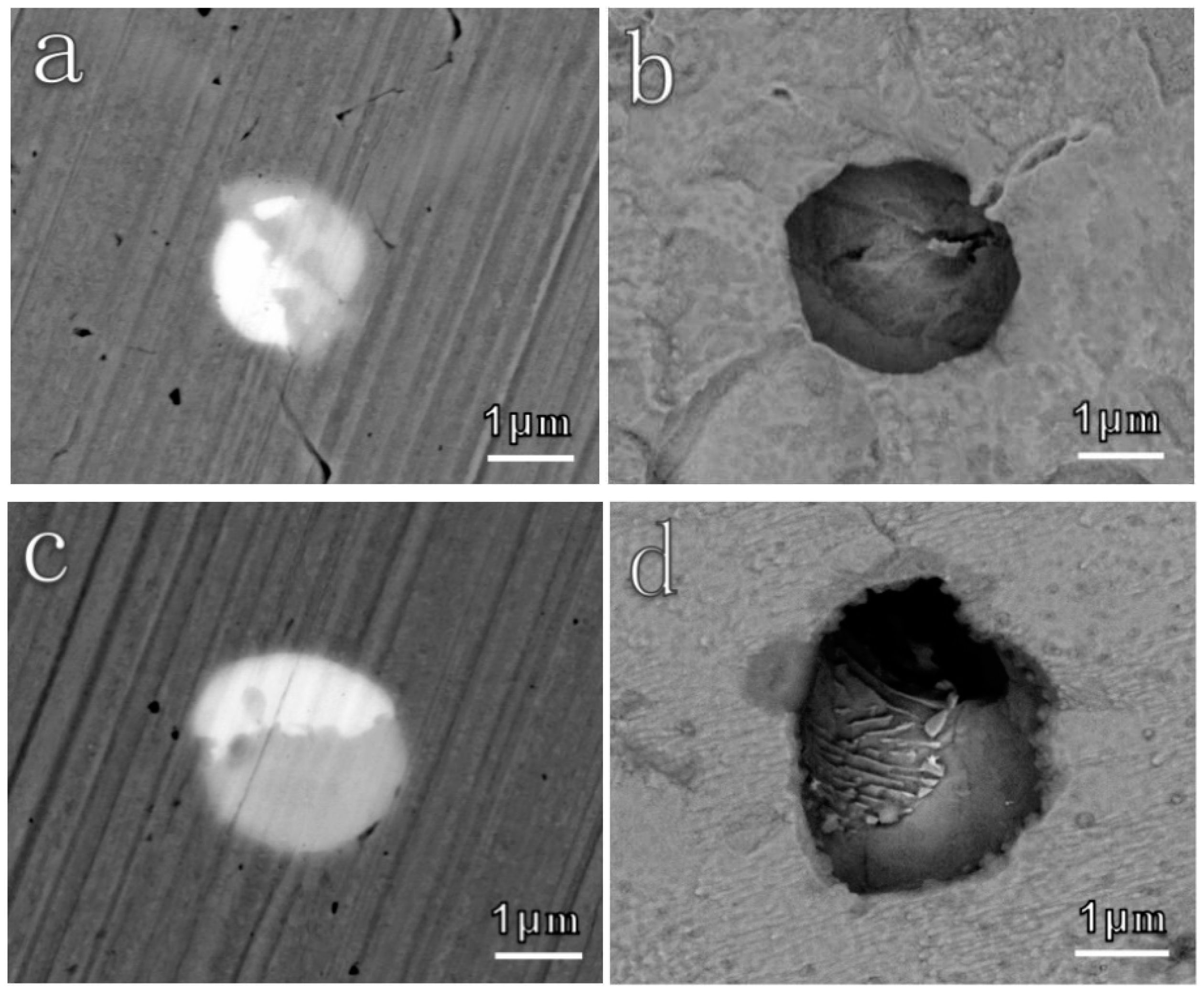 Materials 12 03359 g009