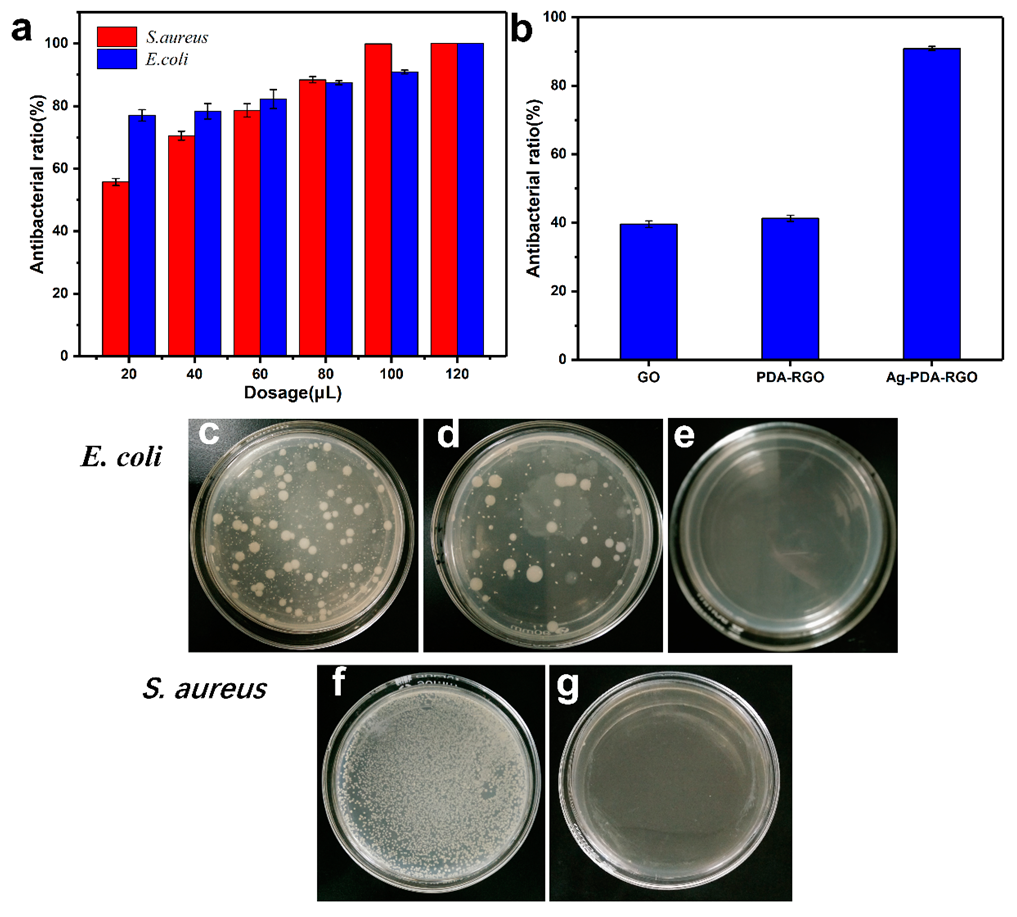 Materials 12 03360 g005 Materials 12 03360 g005