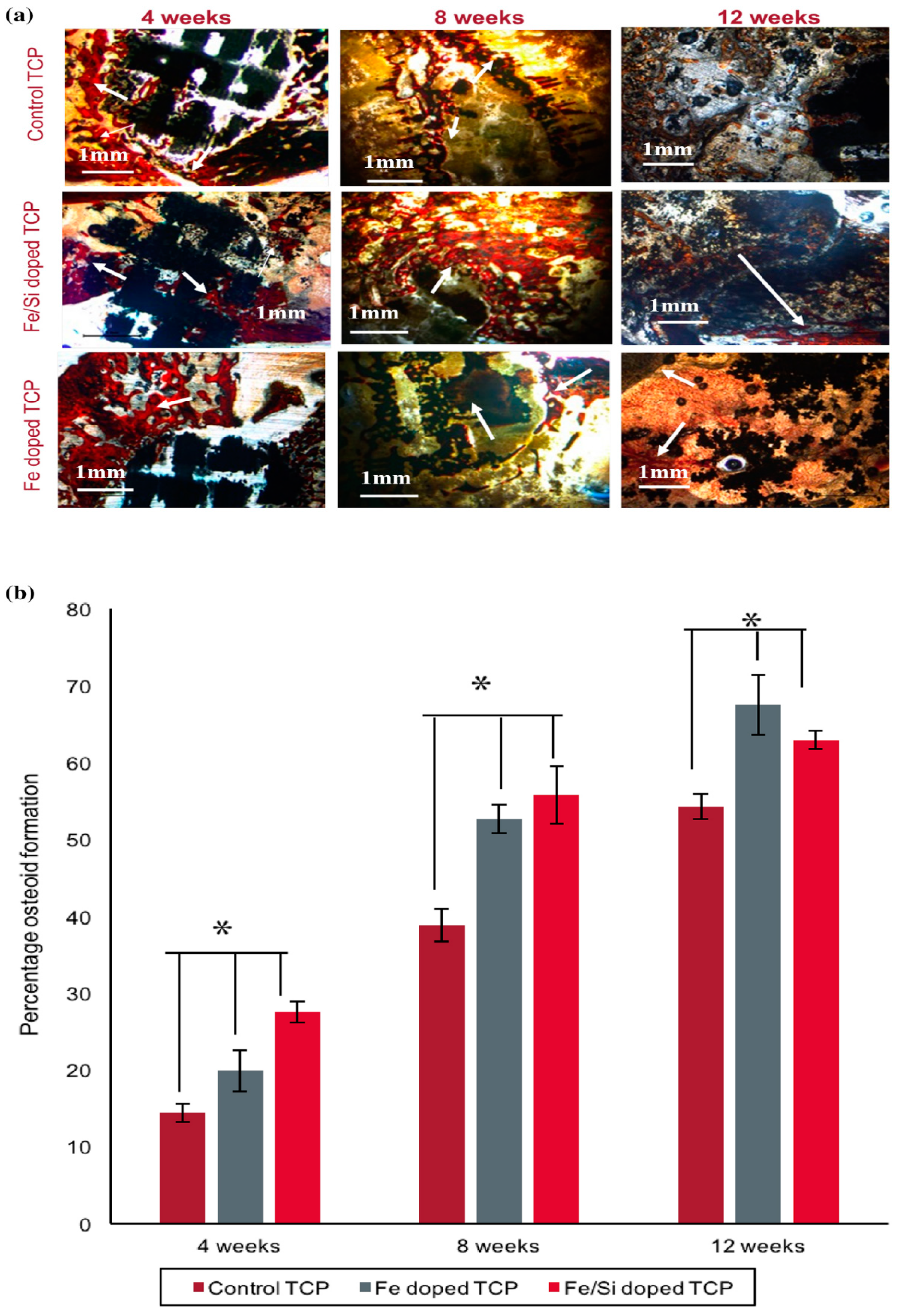 Materials 12 03361 g012 Materials 12 03361 g012