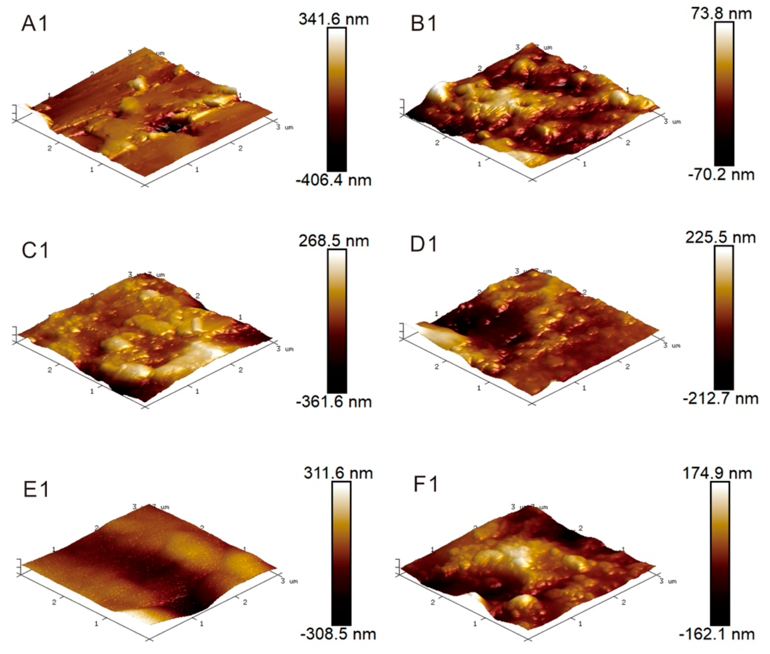 Materials 12 03363 g003