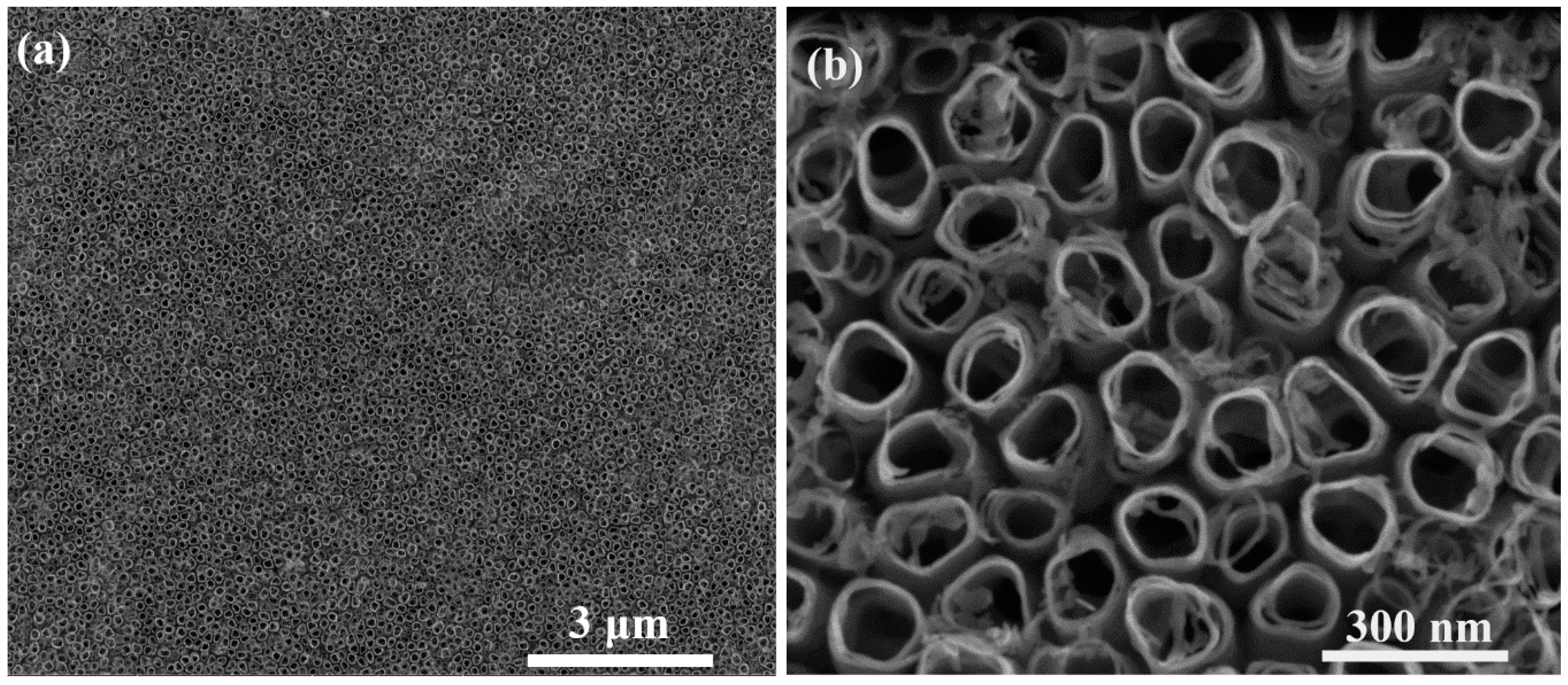 Materials 12 03373 g006 Materials 12 03373 g006