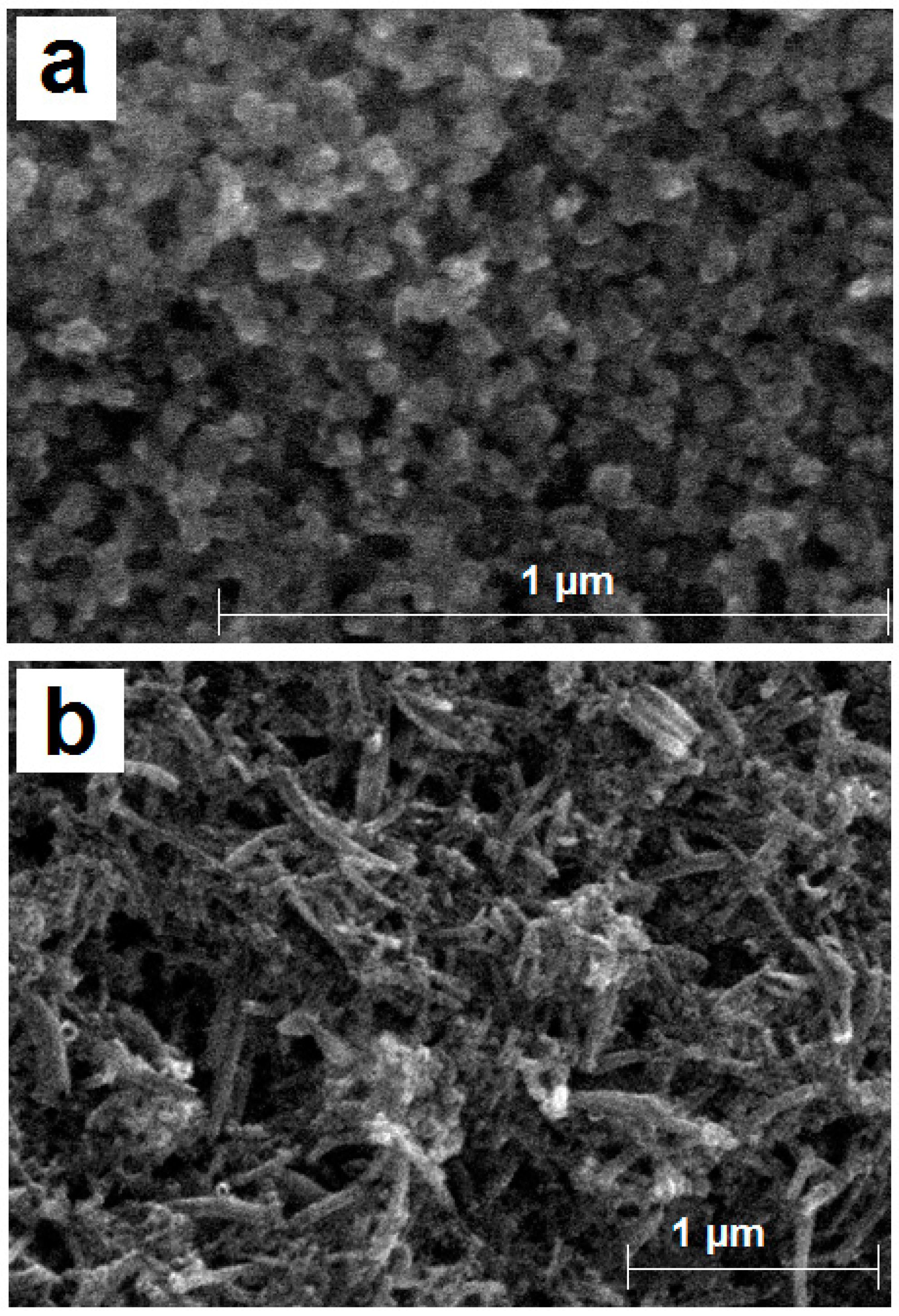 Materials 12 03377 g001 Materials 12 03377 g001