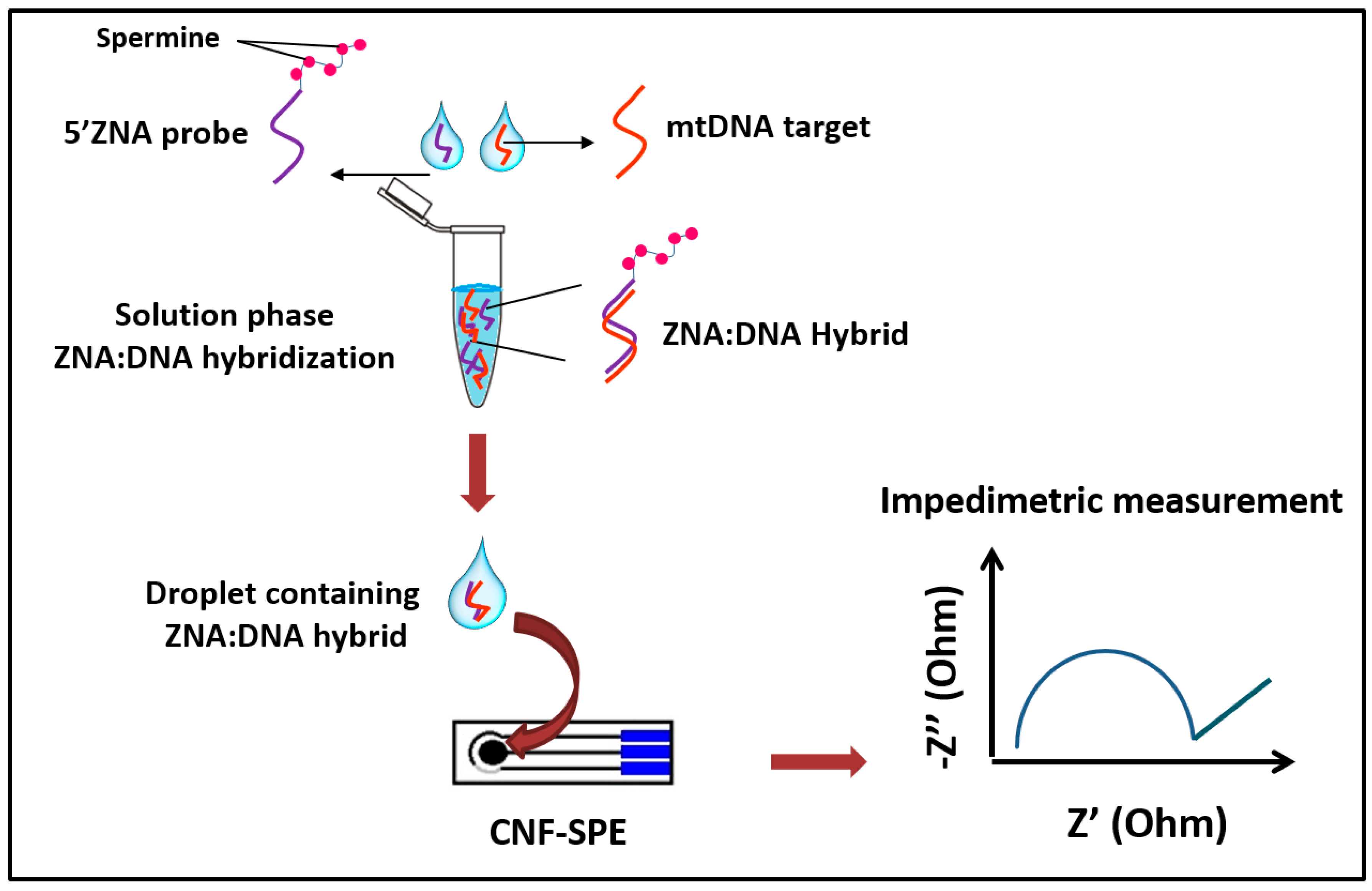 Materials 12 03377 sch001 Materials 12 03377 sch001