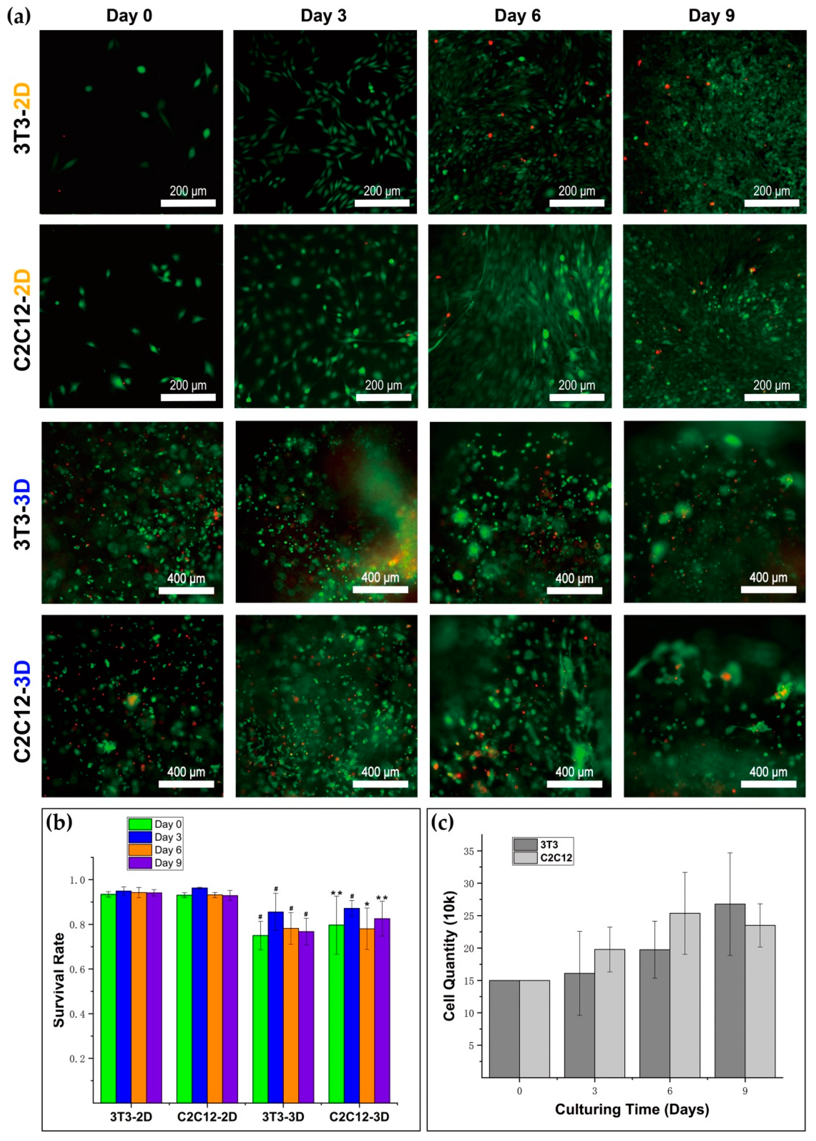 Materials 12 03391 g004