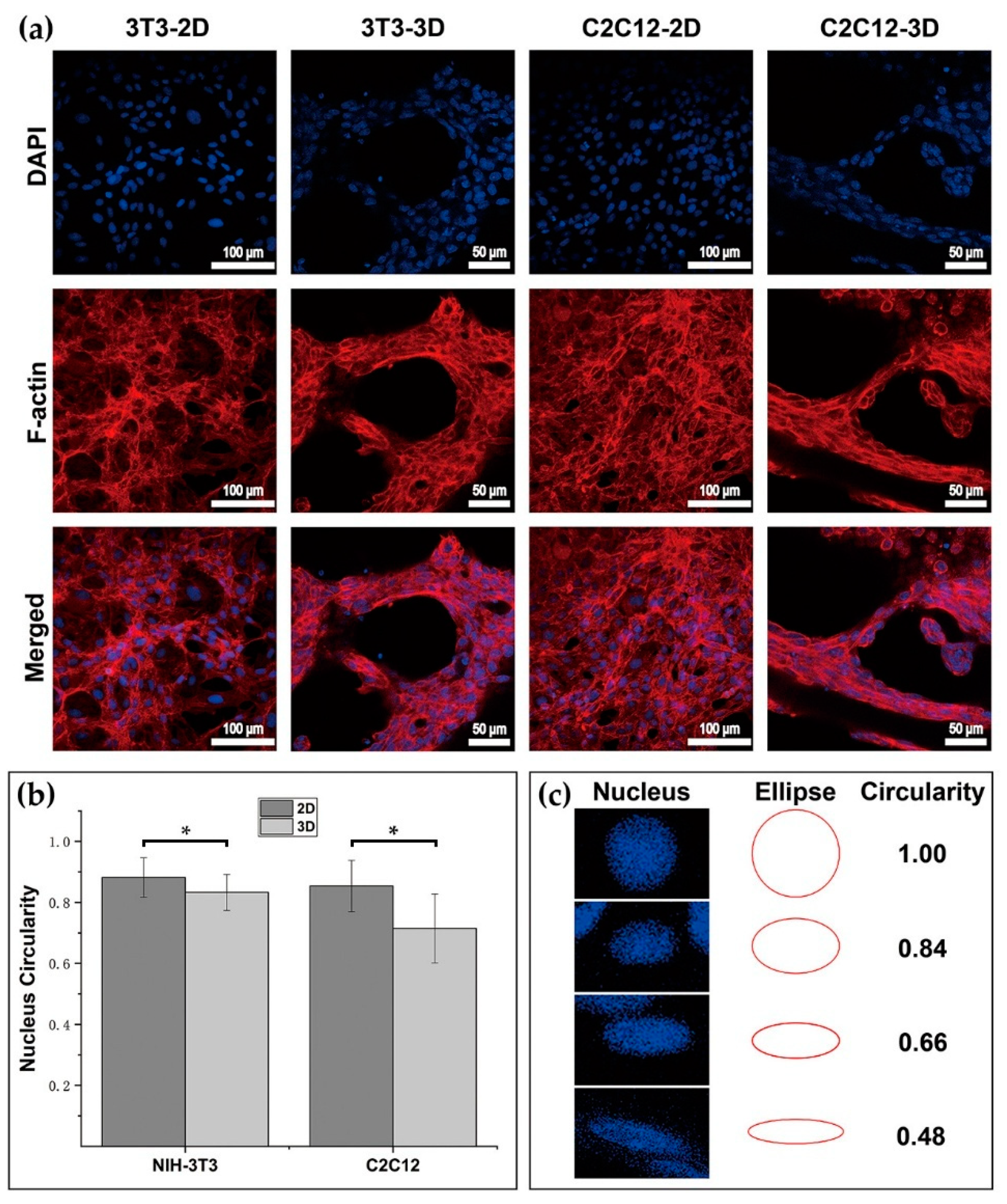 Materials 12 03391 g007