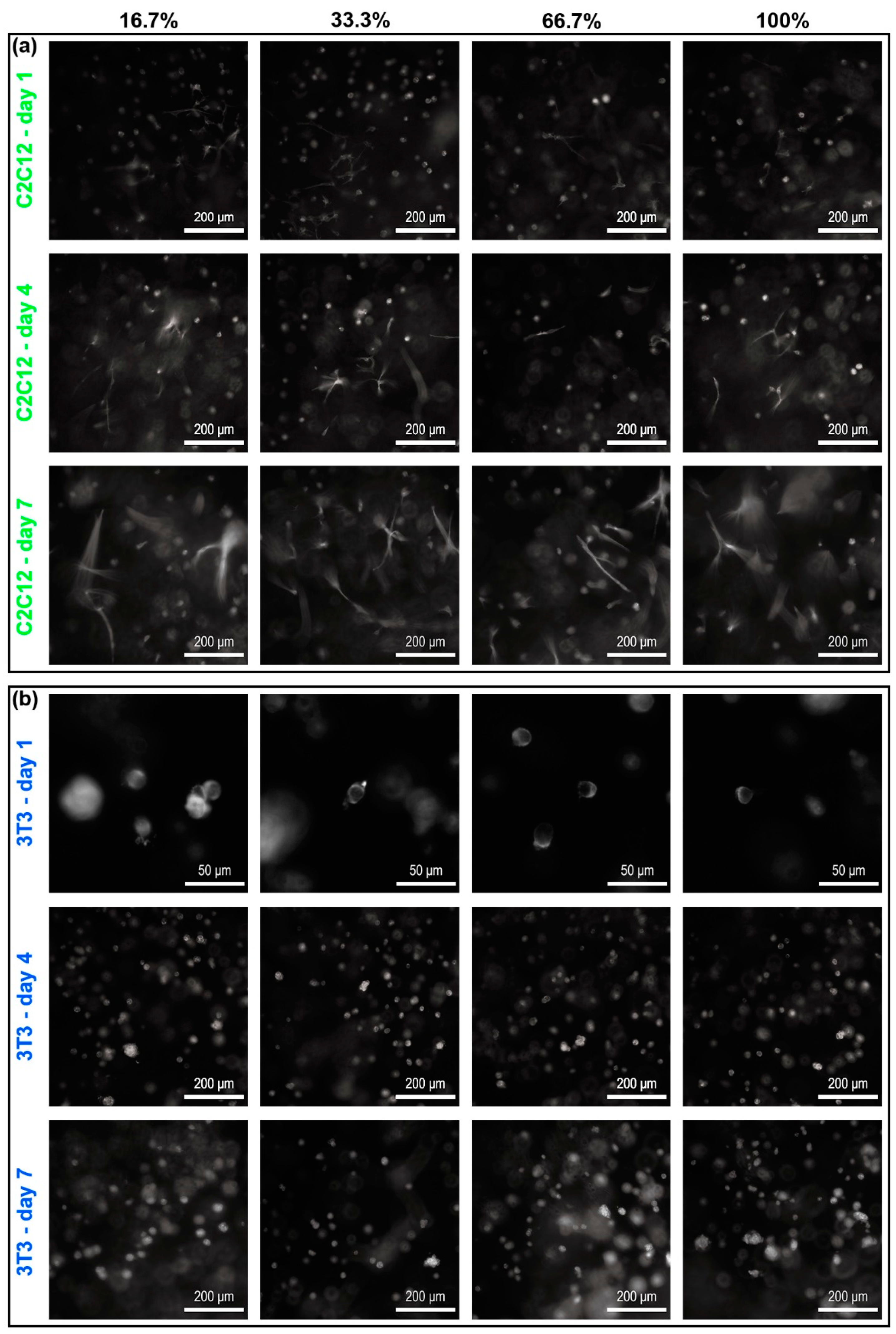 Materials 12 03391 g010