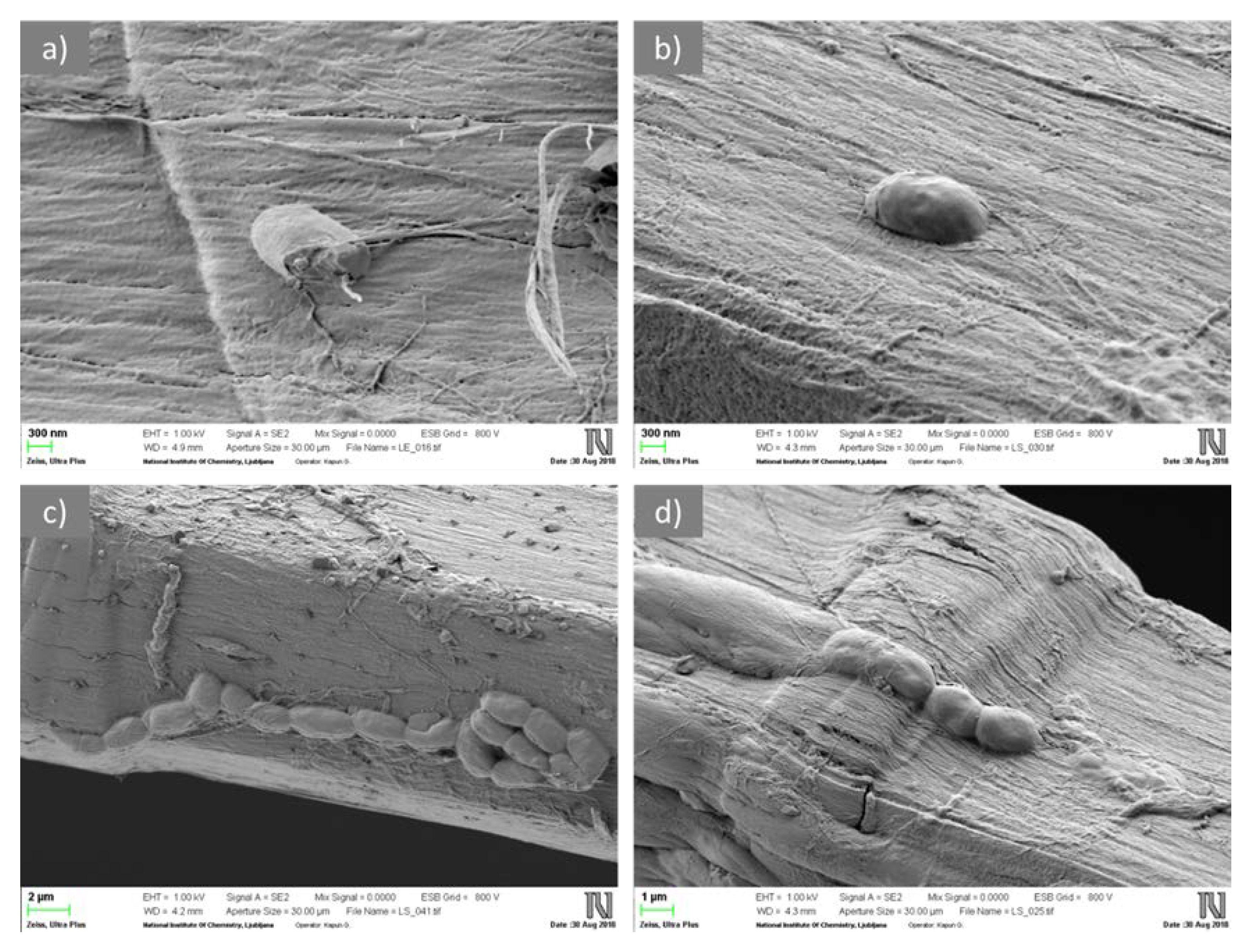 Materials 12 03399 g005 Materials 12 03399 g005