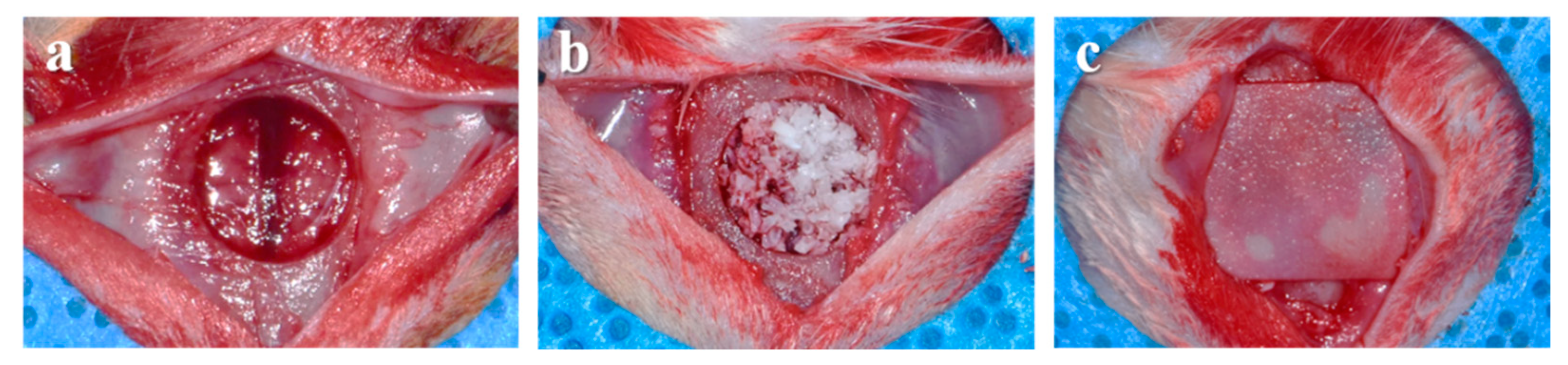 Materials 12 03412 g001 Materials 12 03412 g001