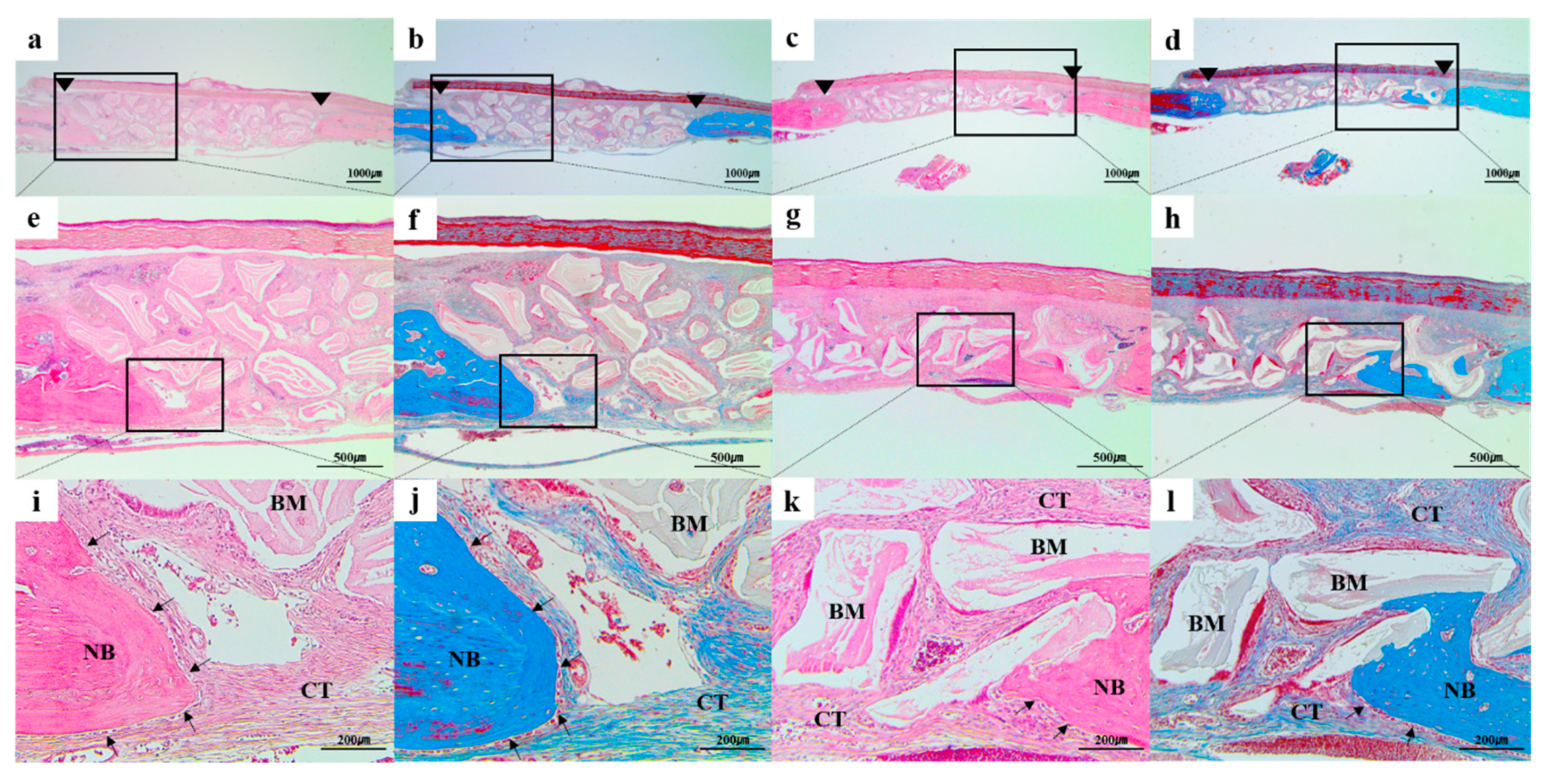 Materials 12 03412 g010 Materials 12 03412 g010