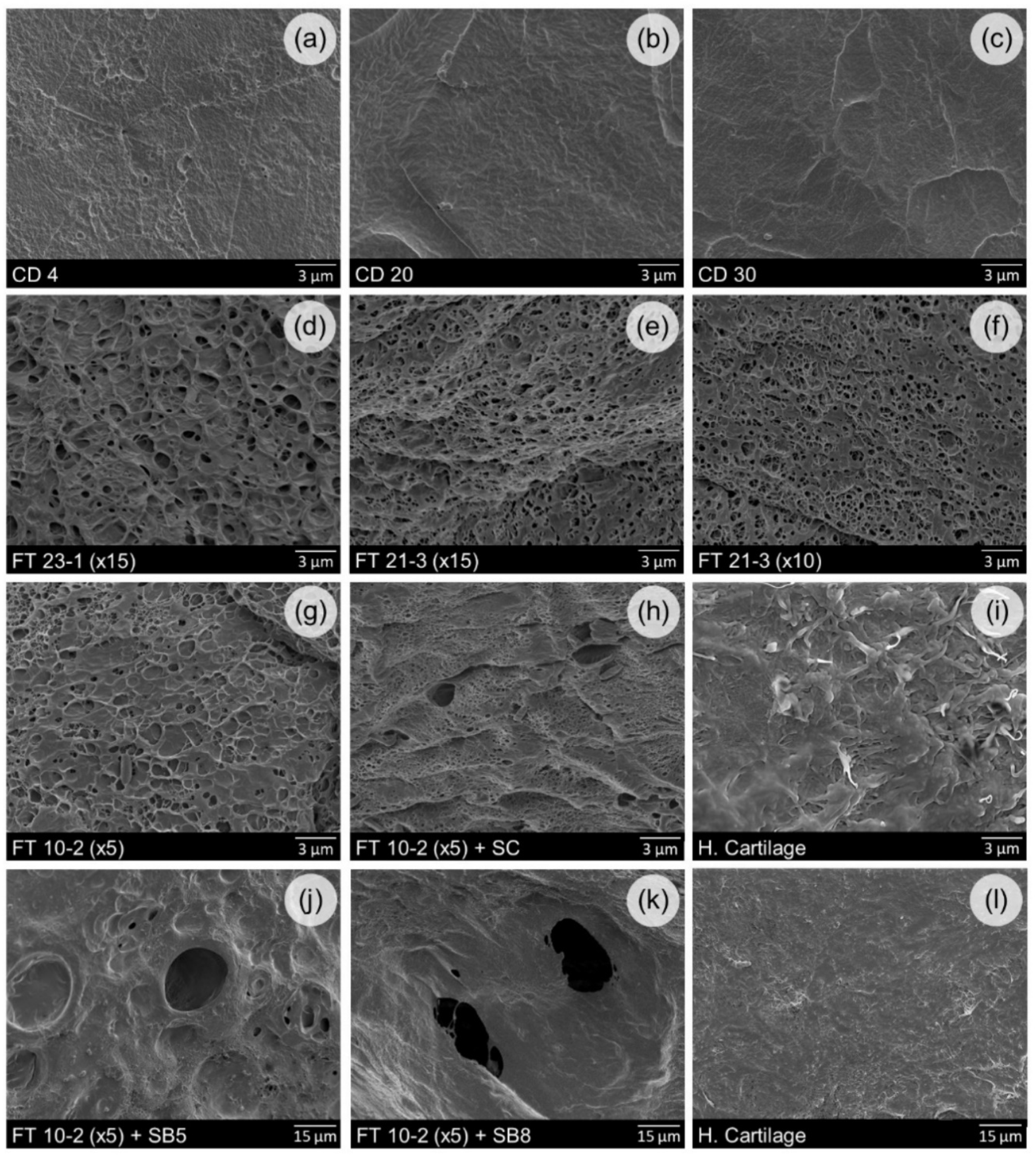 Materials 12 03413 g001 Materials 12 03413 g001