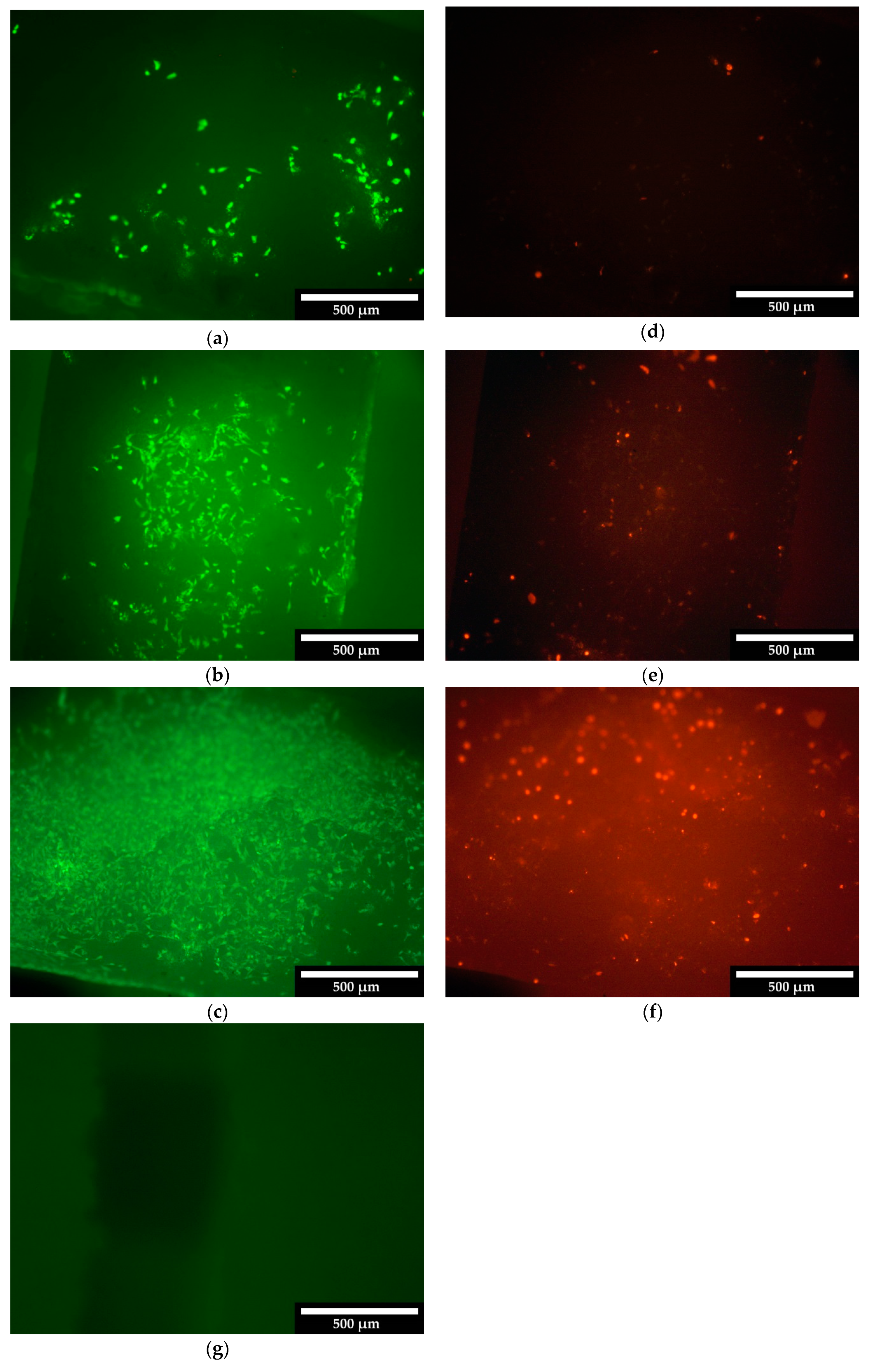 Materials 12 03417 g005 Materials 12 03417 g005