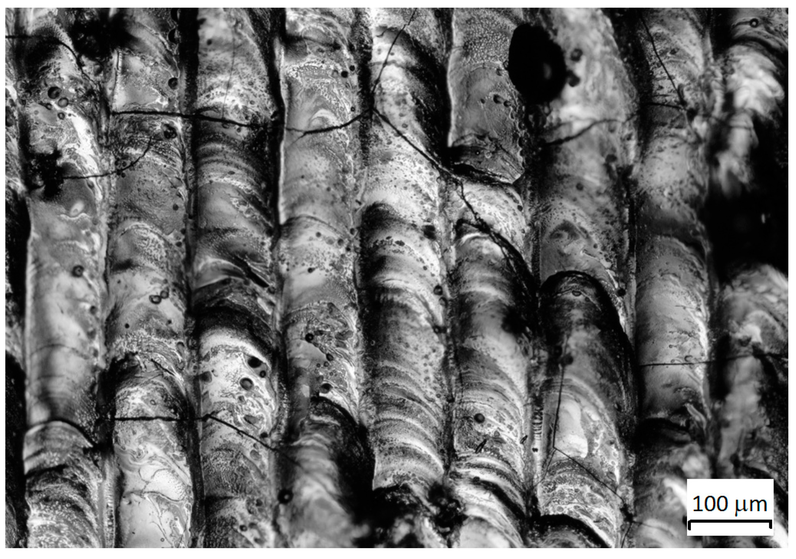 Materials 12 03425 g008