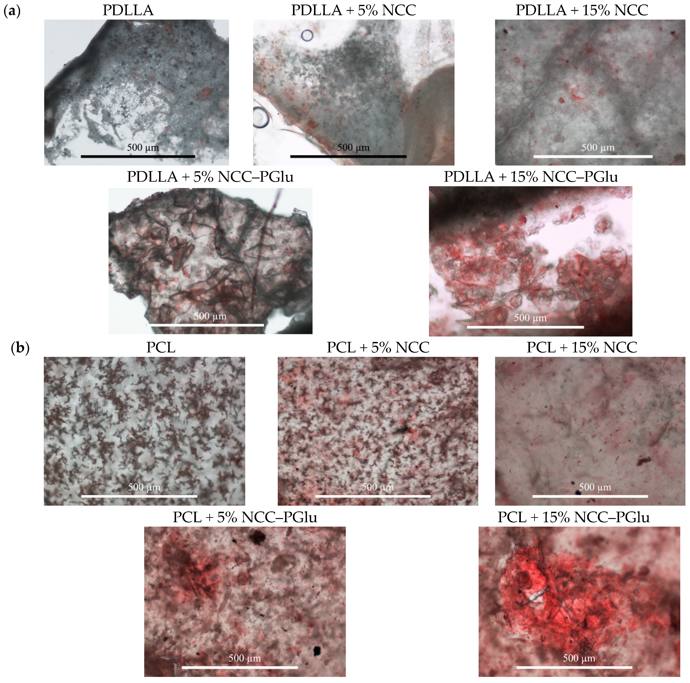 Materials 12 03435 g006 Materials 12 03435 g006