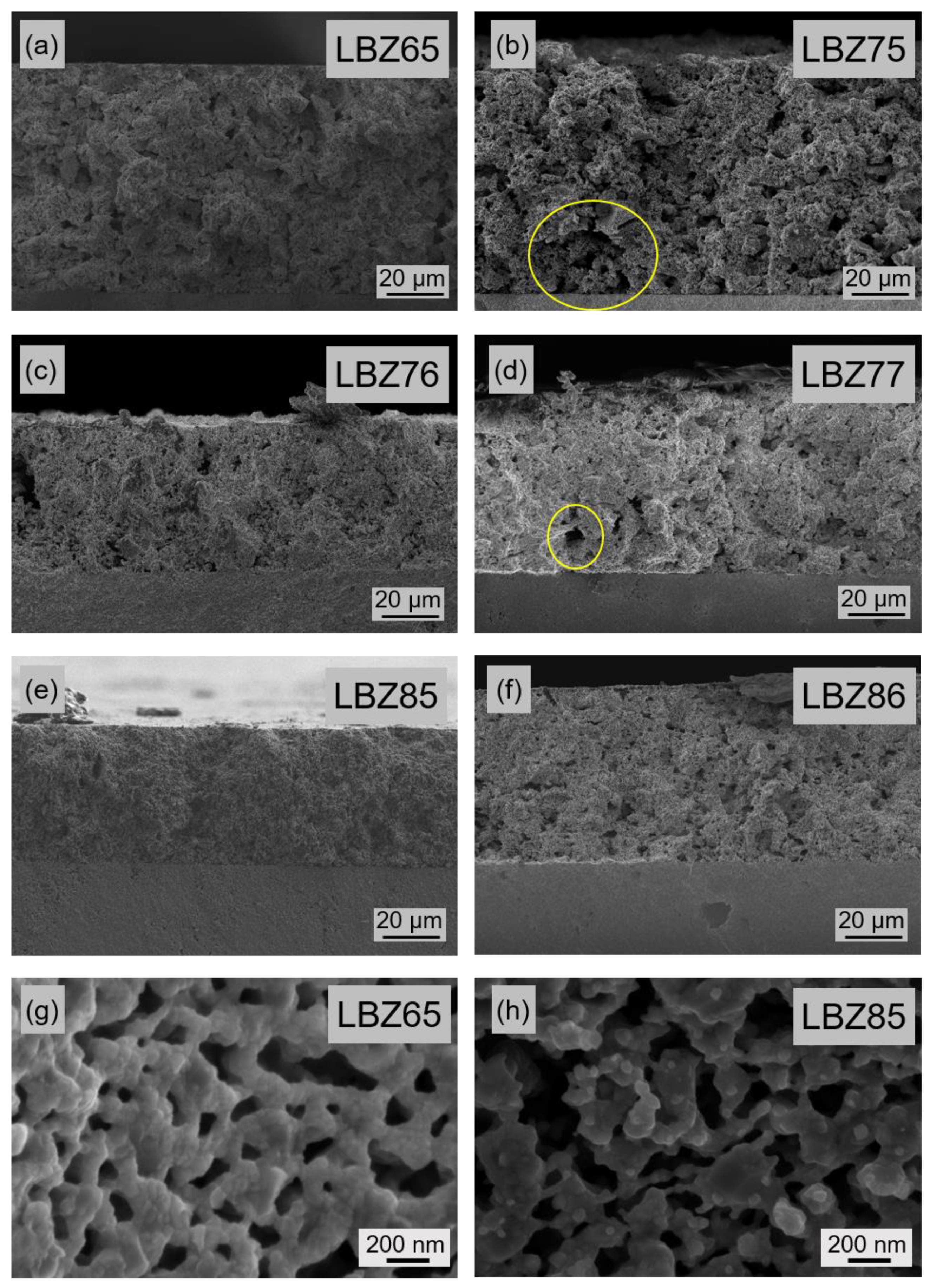 Materials 12 03441 g006