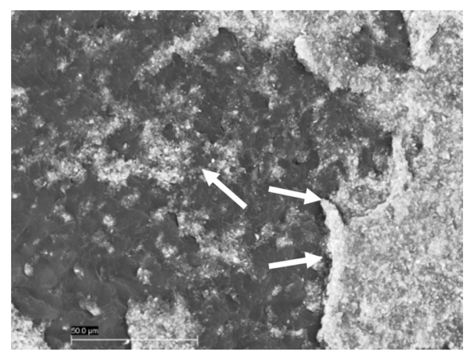 Materials 12 03454 g005