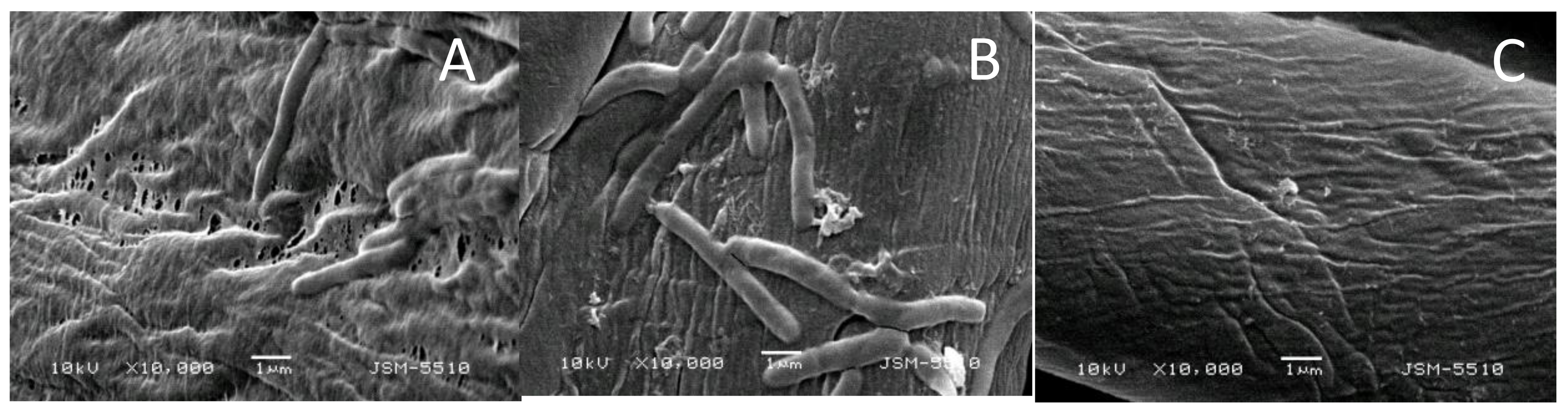 Materials 12 03473 g007