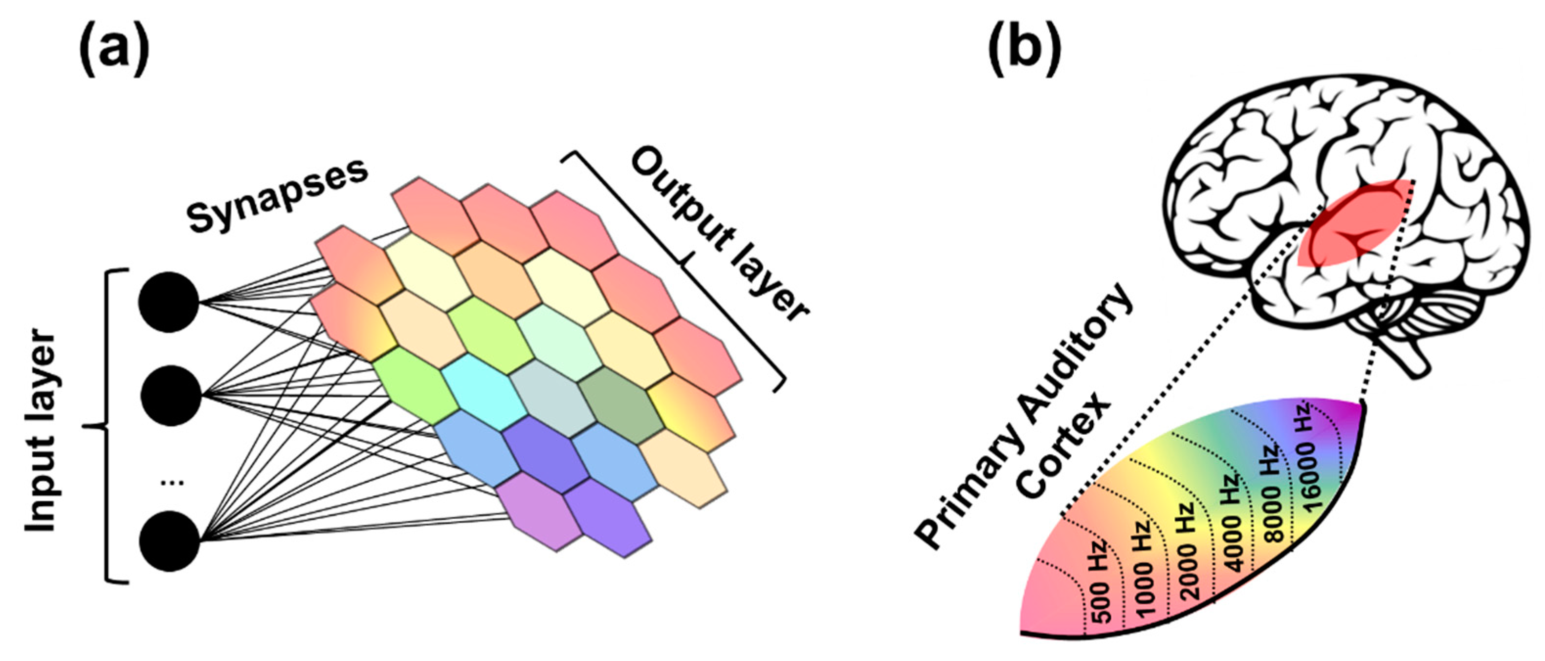 Materials 12 03482 g003