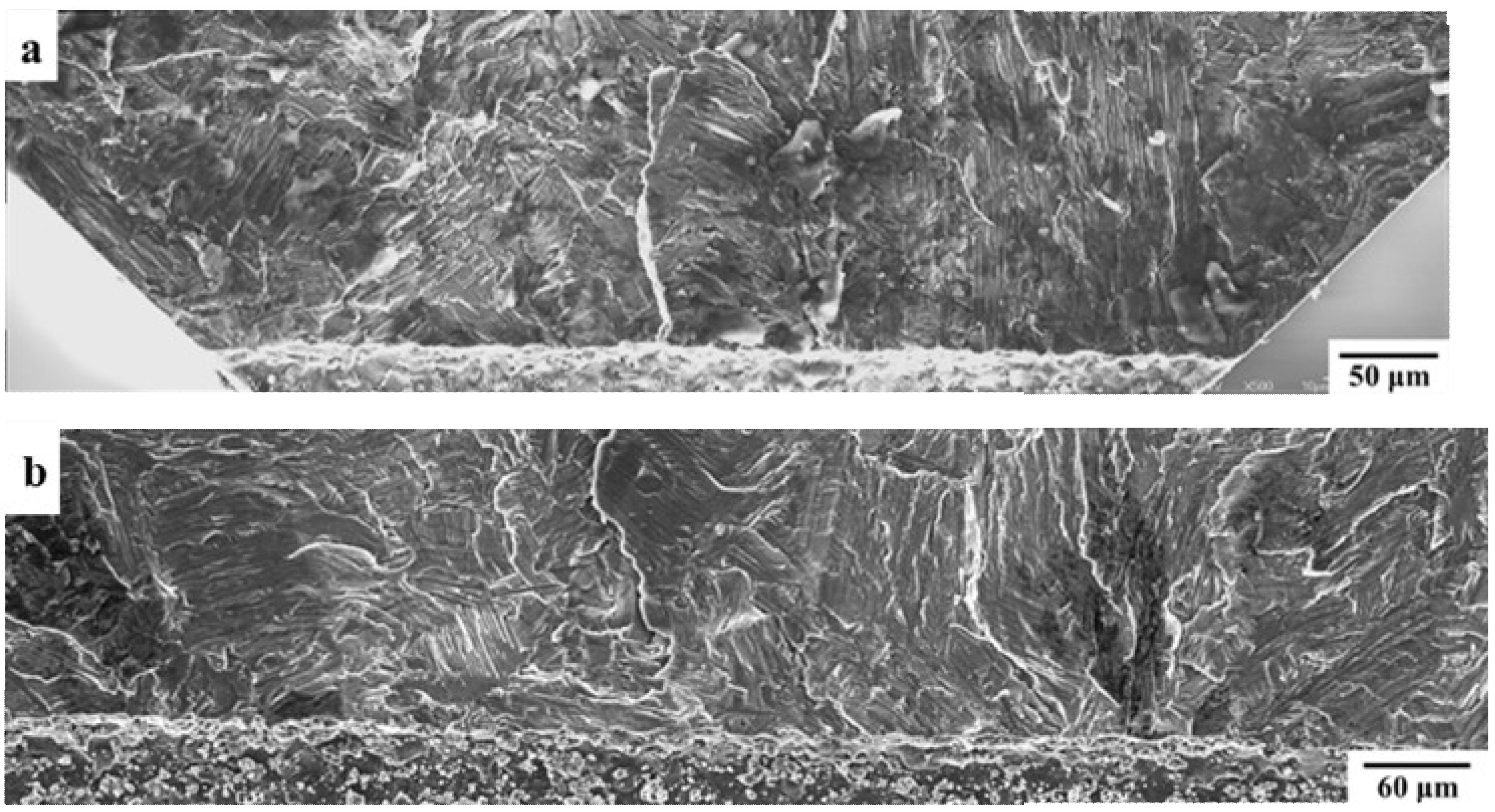 Materials 12 03487 g006