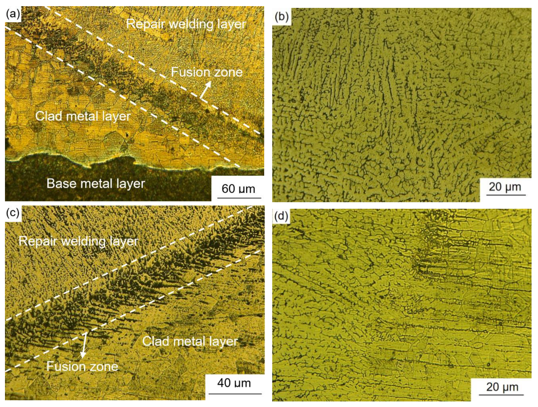 Materials 12 03489 g013