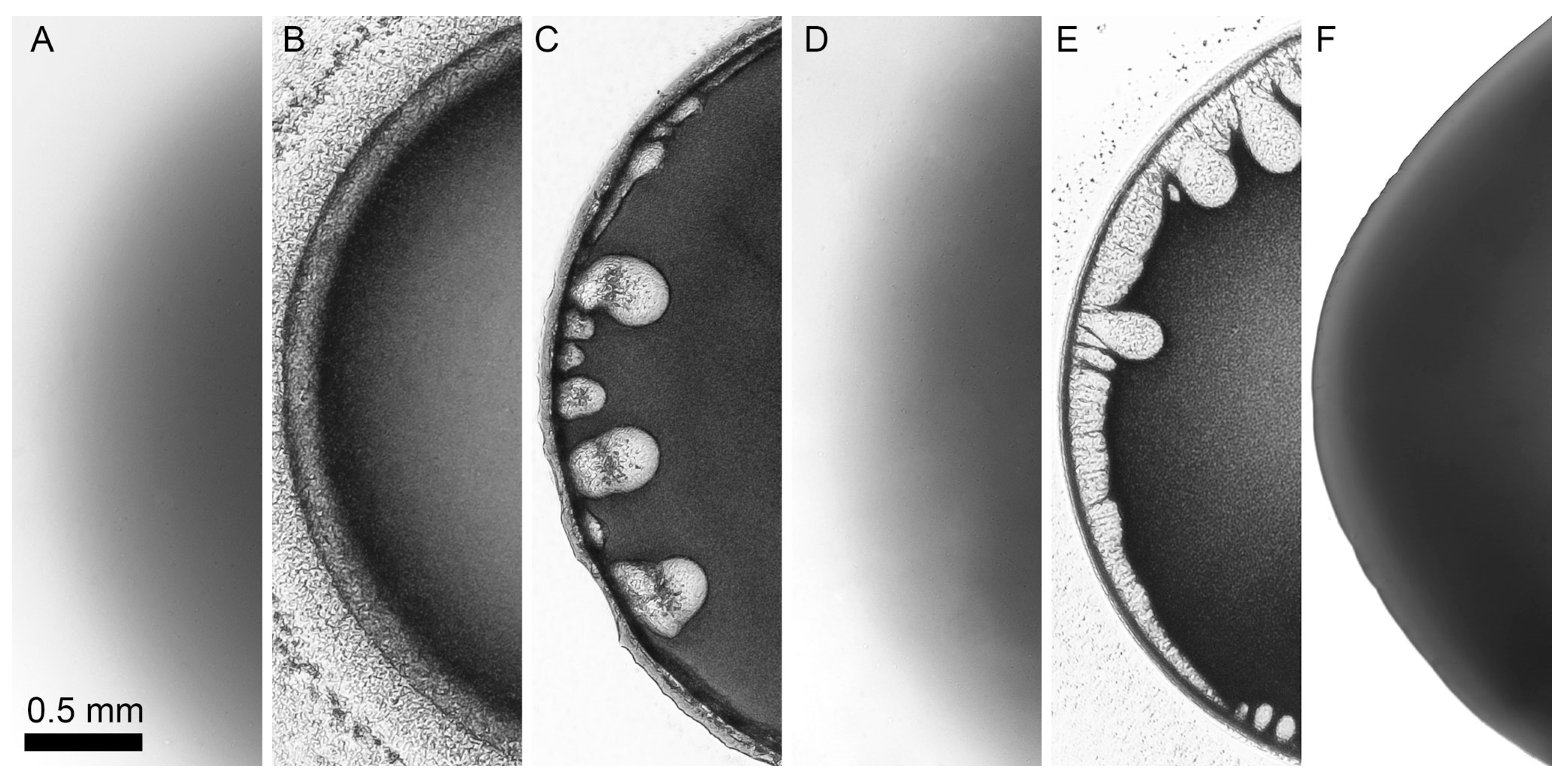 Materials 12 03490 g008