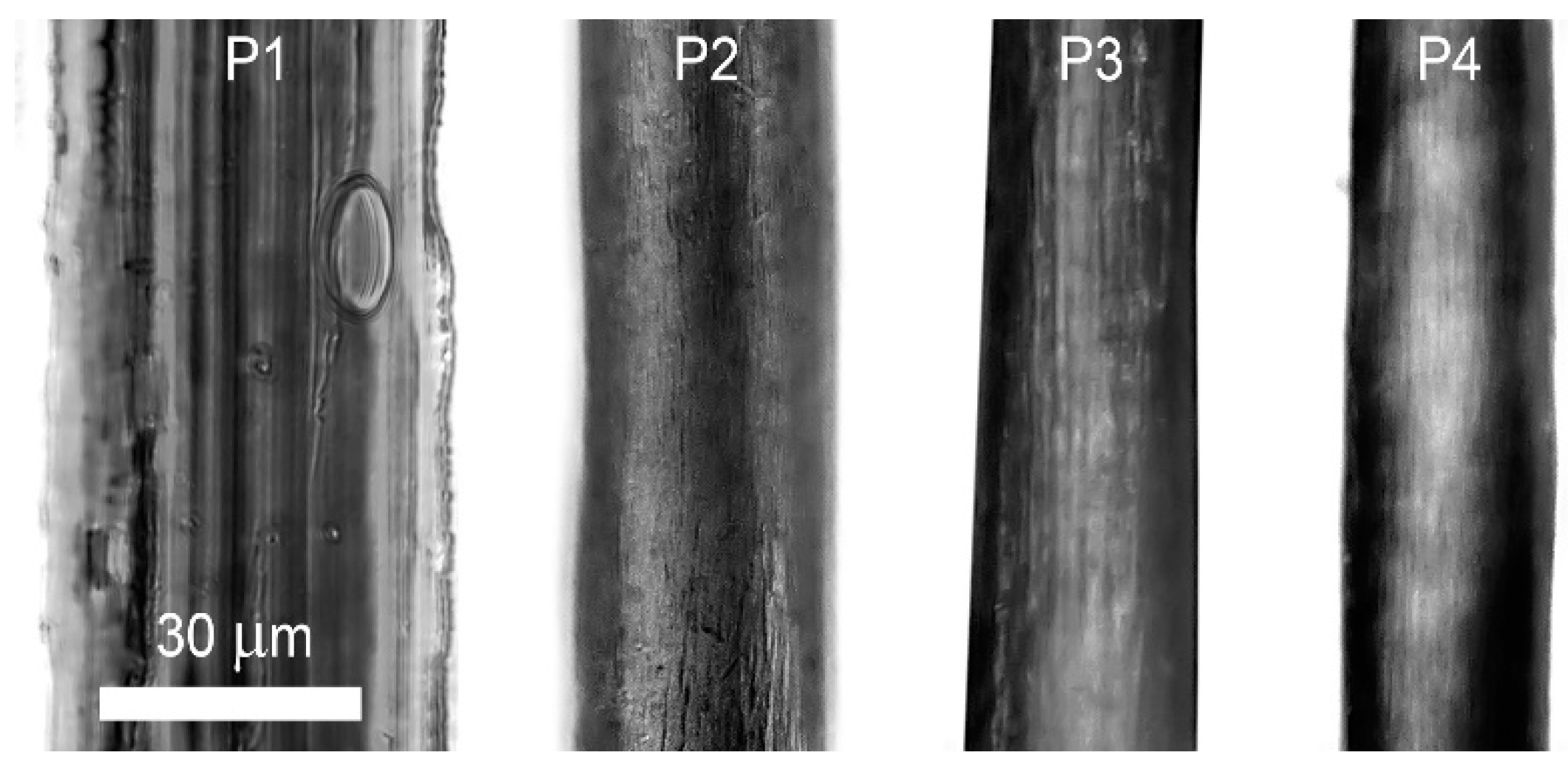 Materials 12 03490 g010