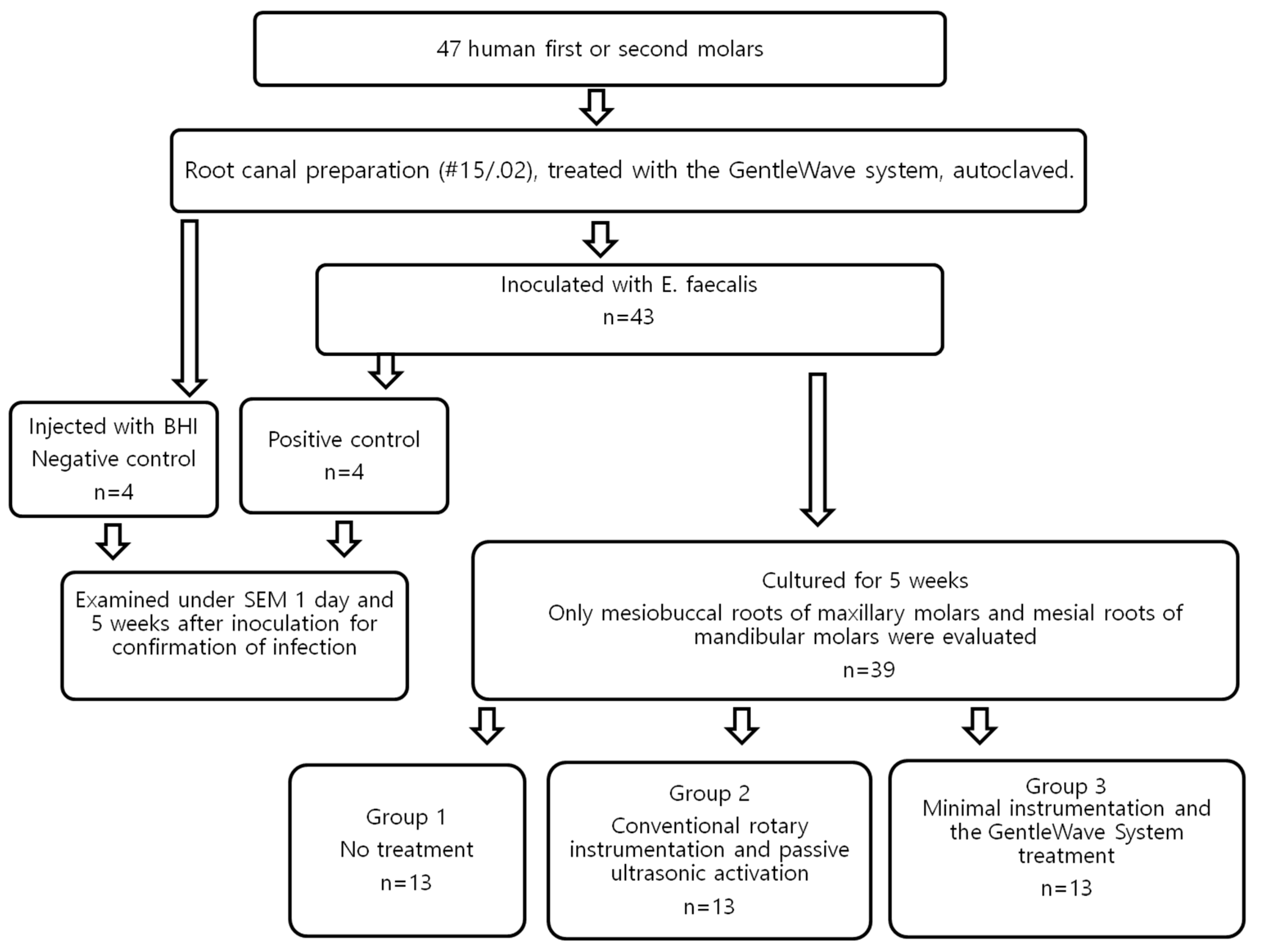 Materials 12 03492 g001