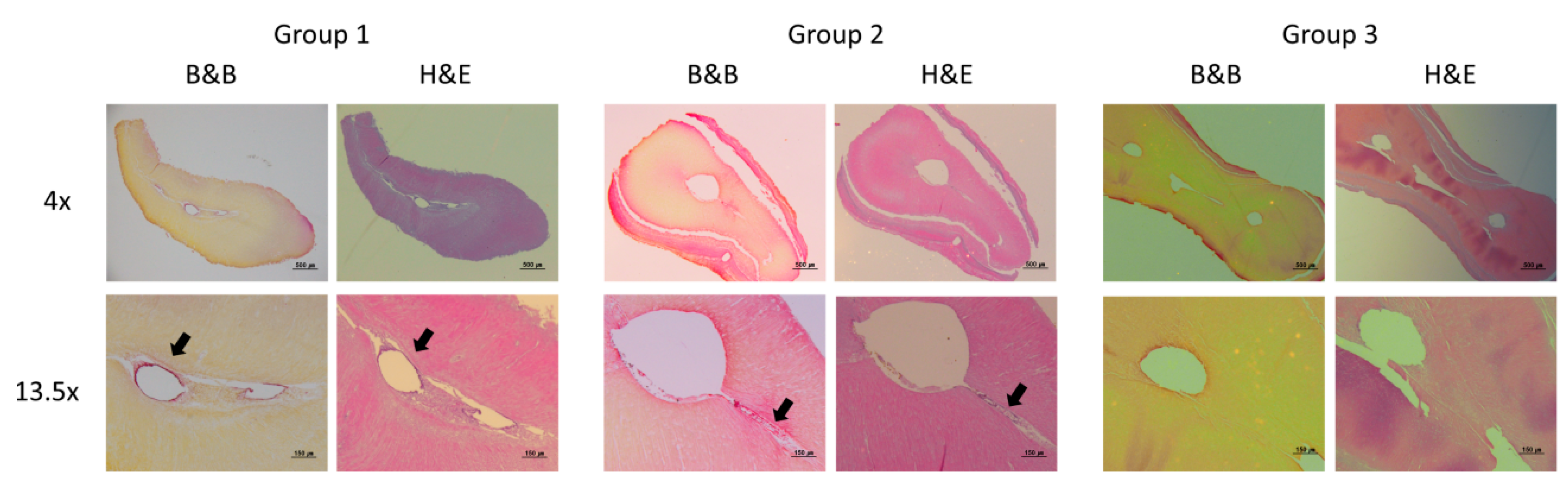 Materials 12 03492 g005