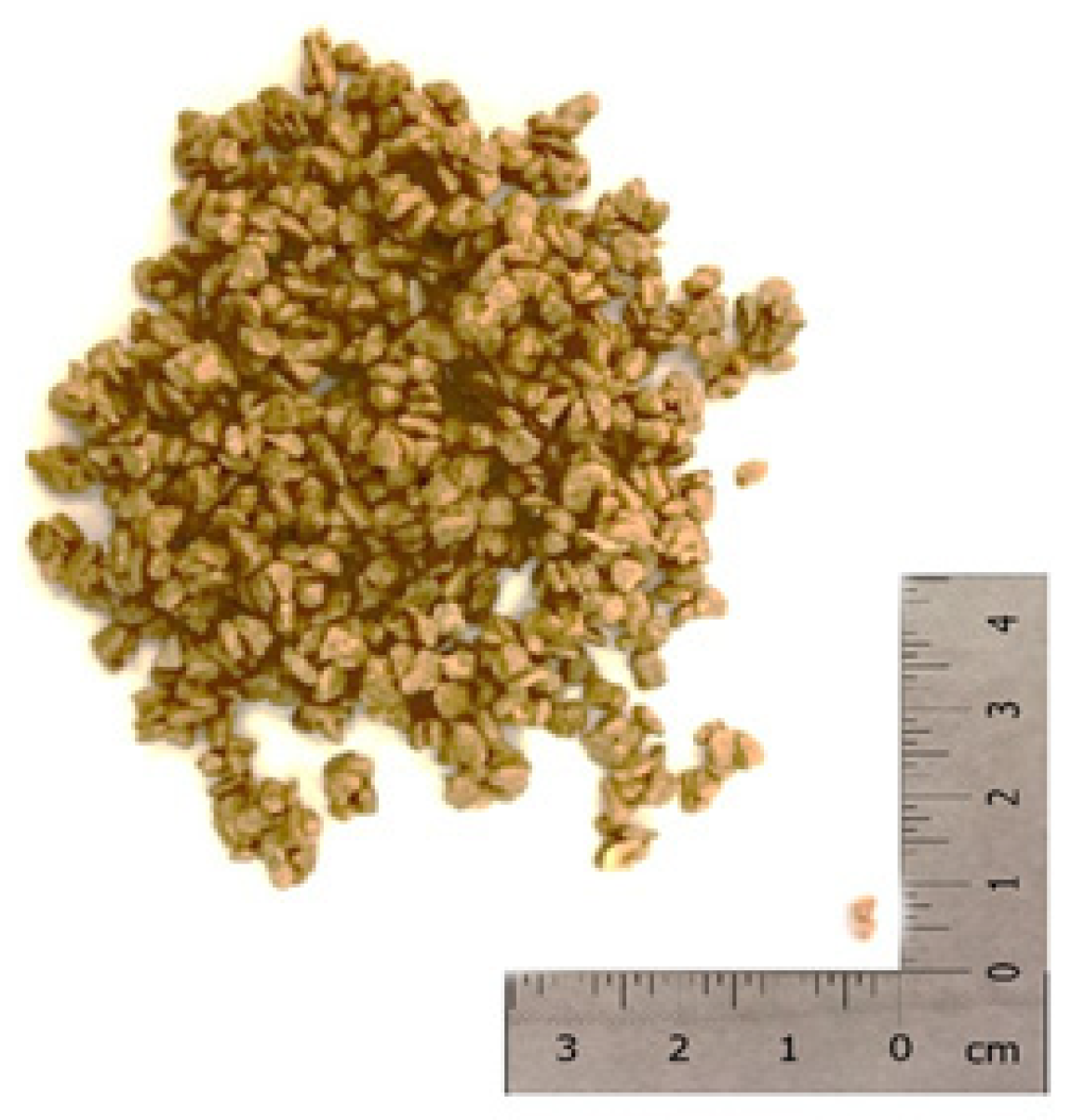 Materials 12 03502 g002