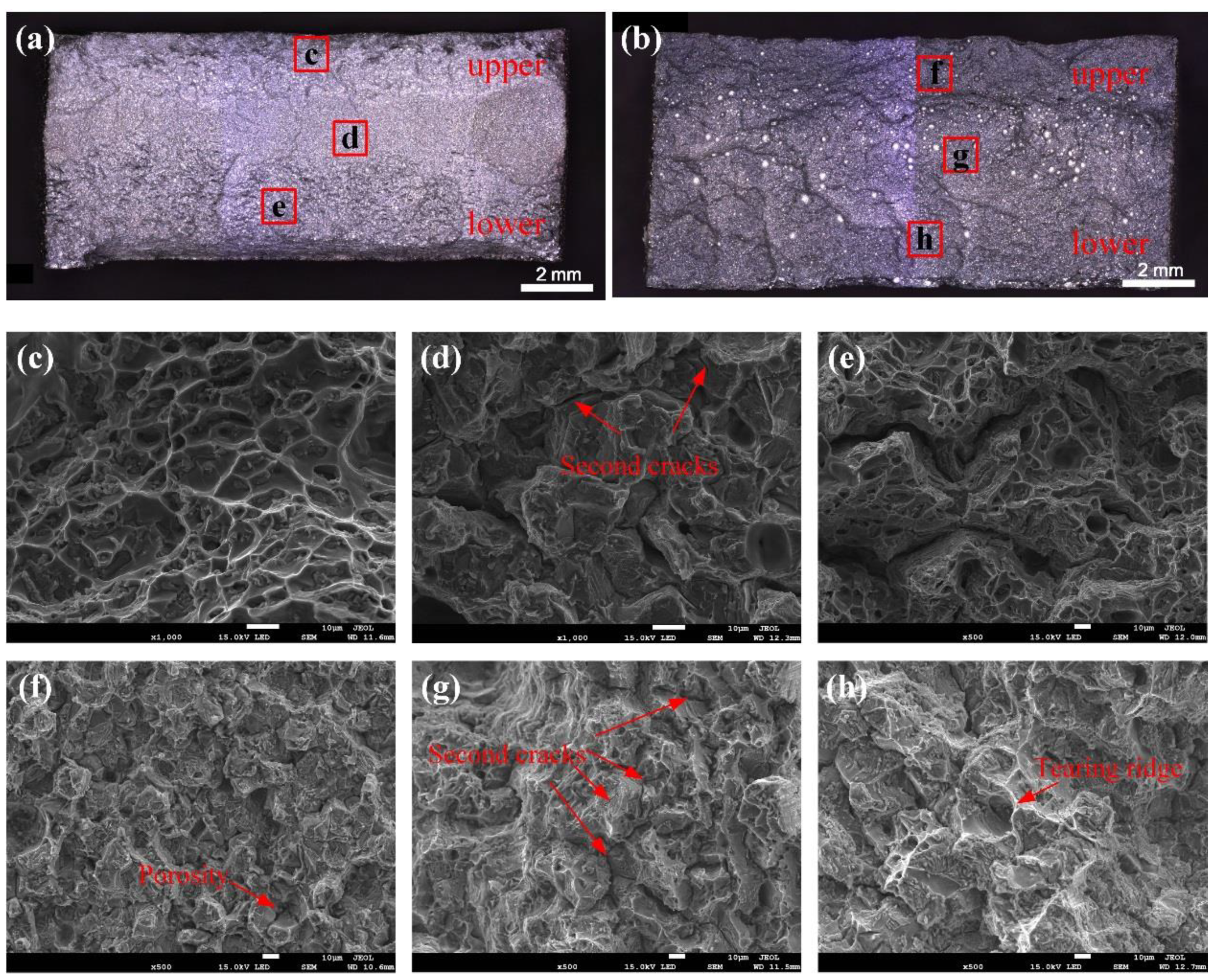 Materials 12 03559 g009