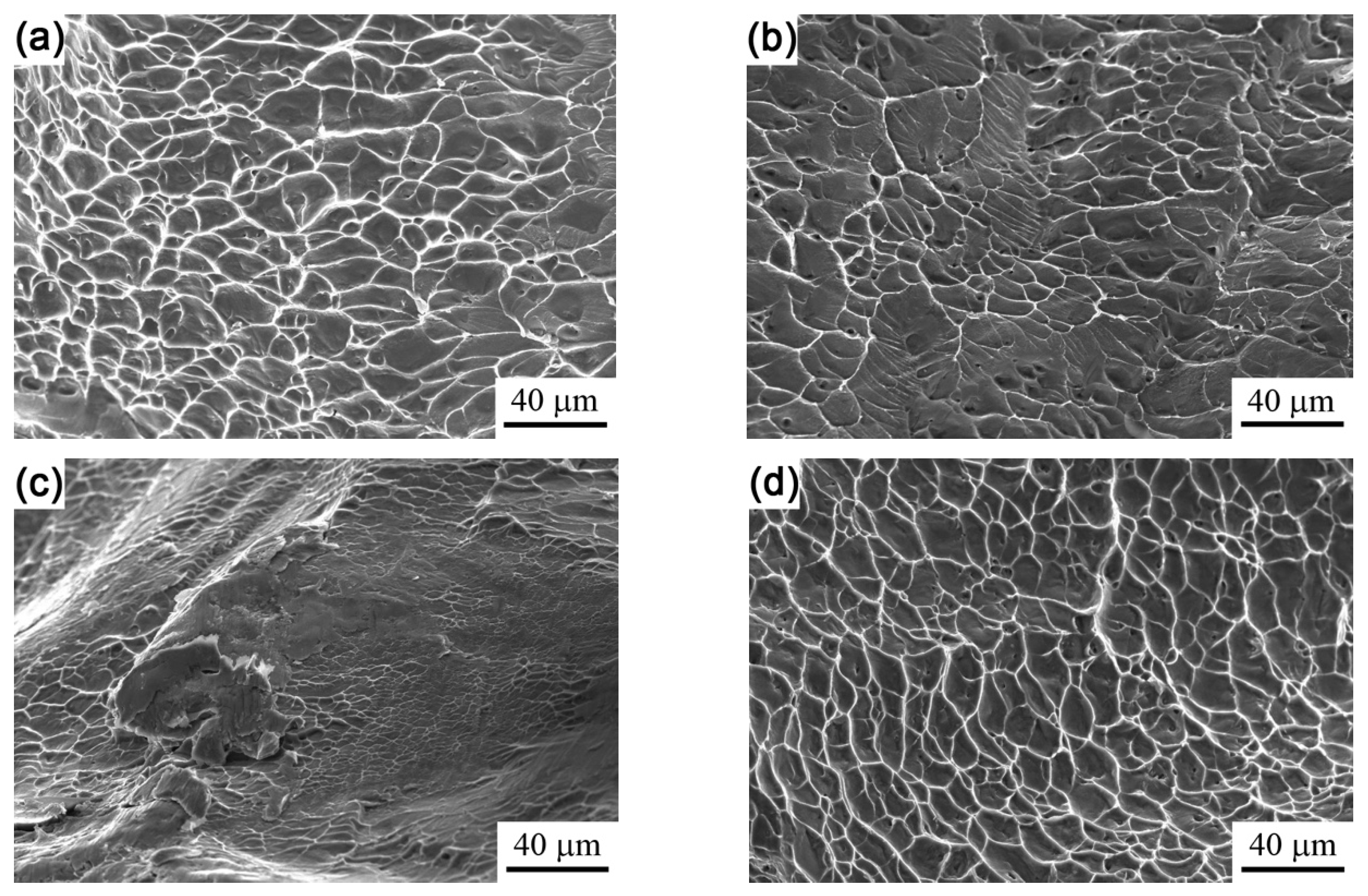 Materials 12 03560 g007