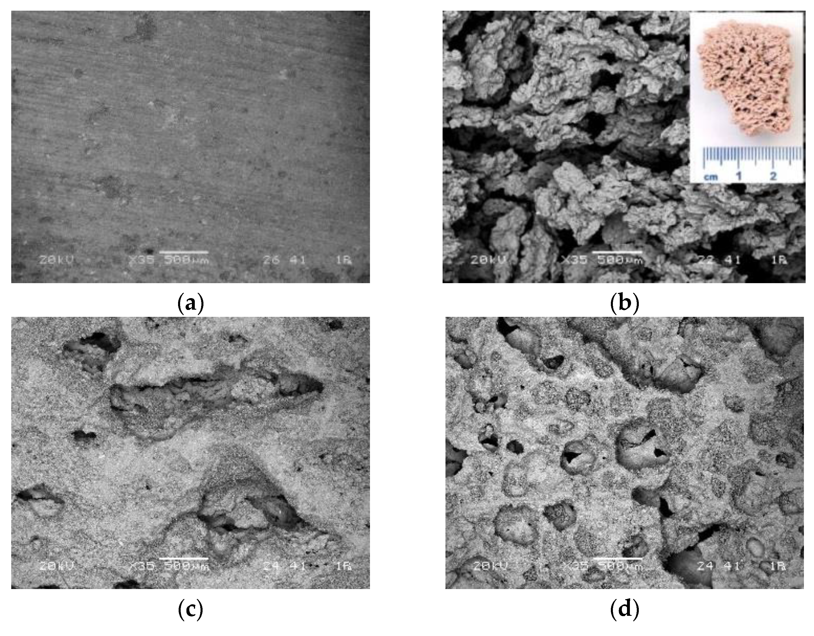 Materials 12 03563 g017