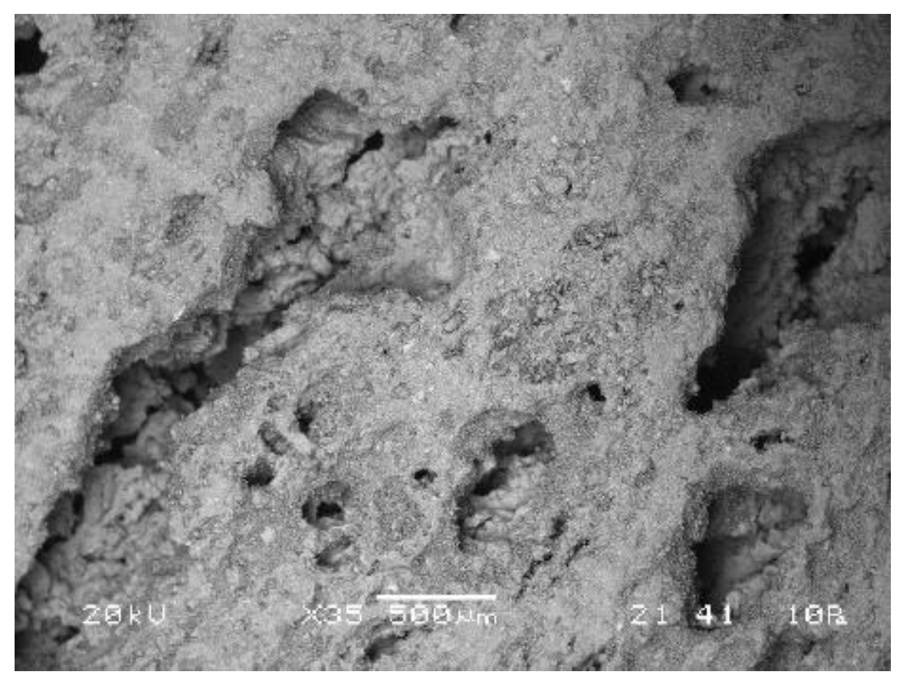 Materials 12 03563 g018