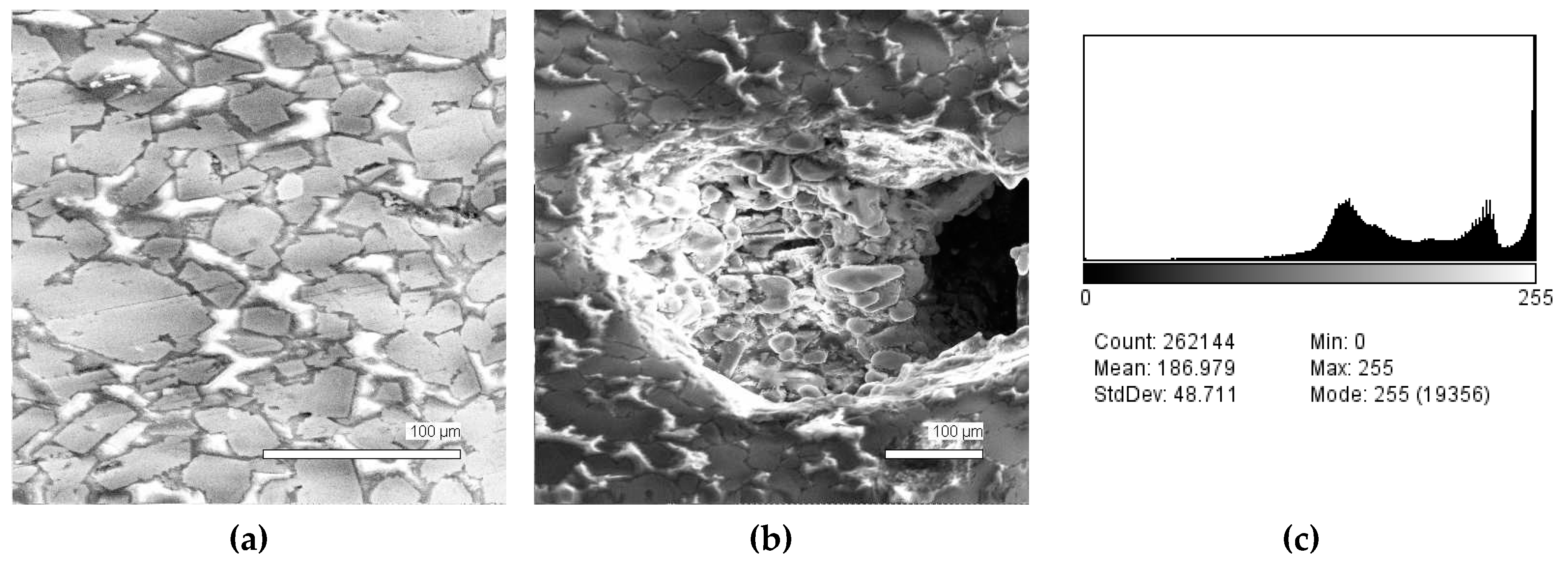 Materials 12 03578 g002