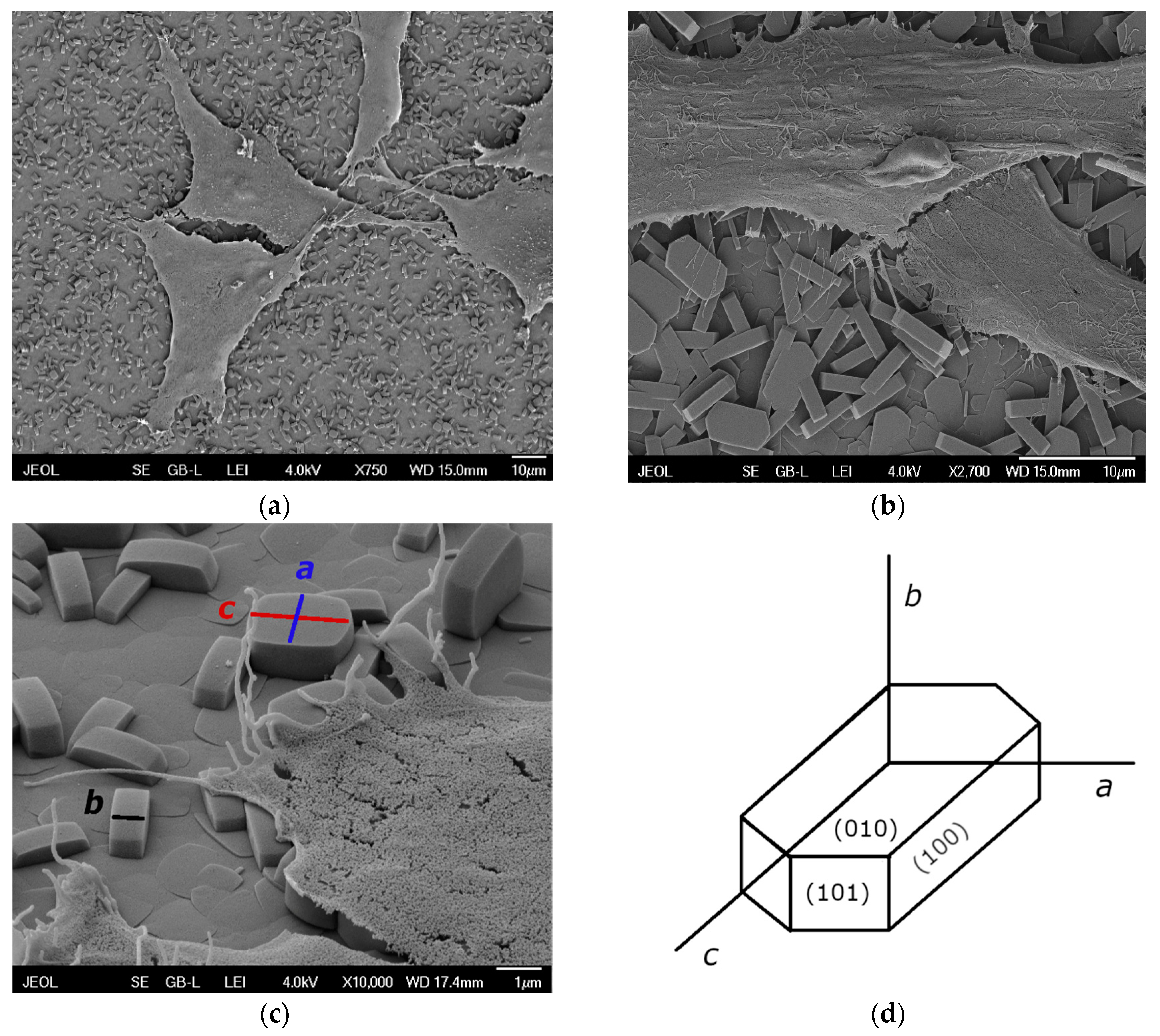 Materials 12 03583 g003 Materials 12 03583 g003