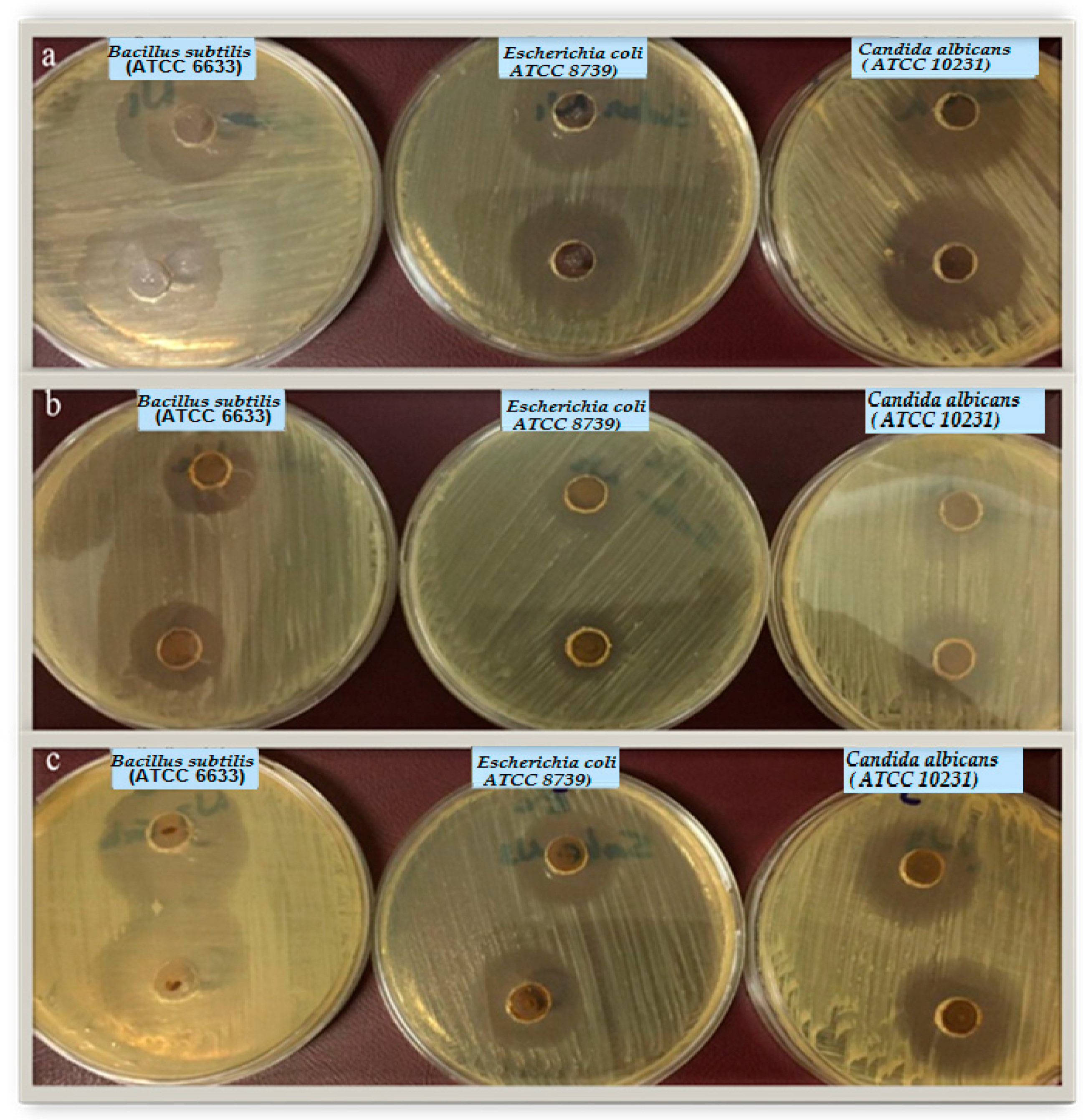 Materials 12 03604 g006