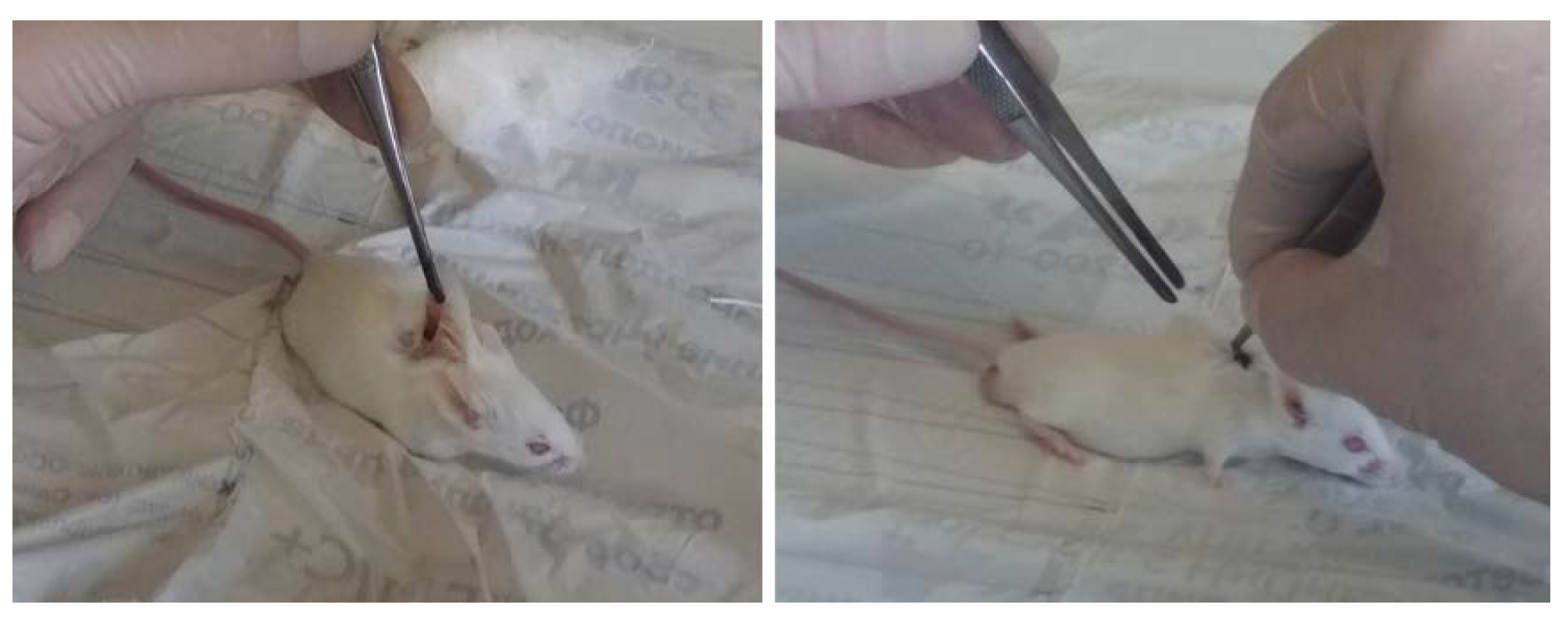 Materials 12 03627 g002 550