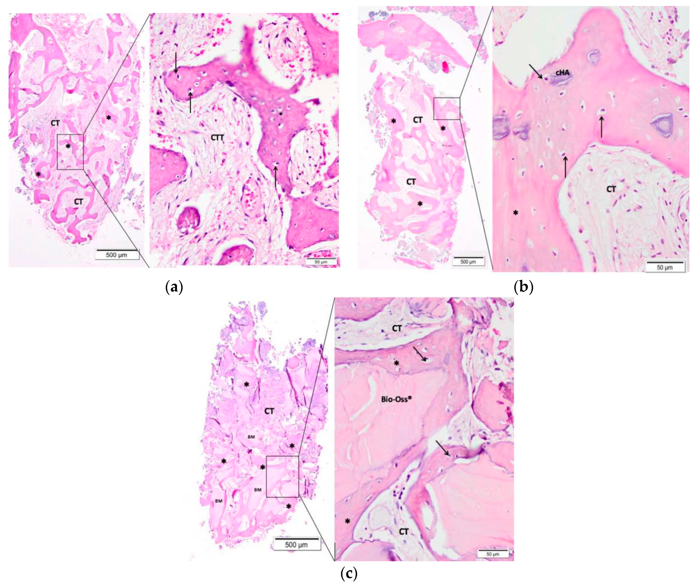 Materials 12 03645 g003 Materials 12 03645 g003