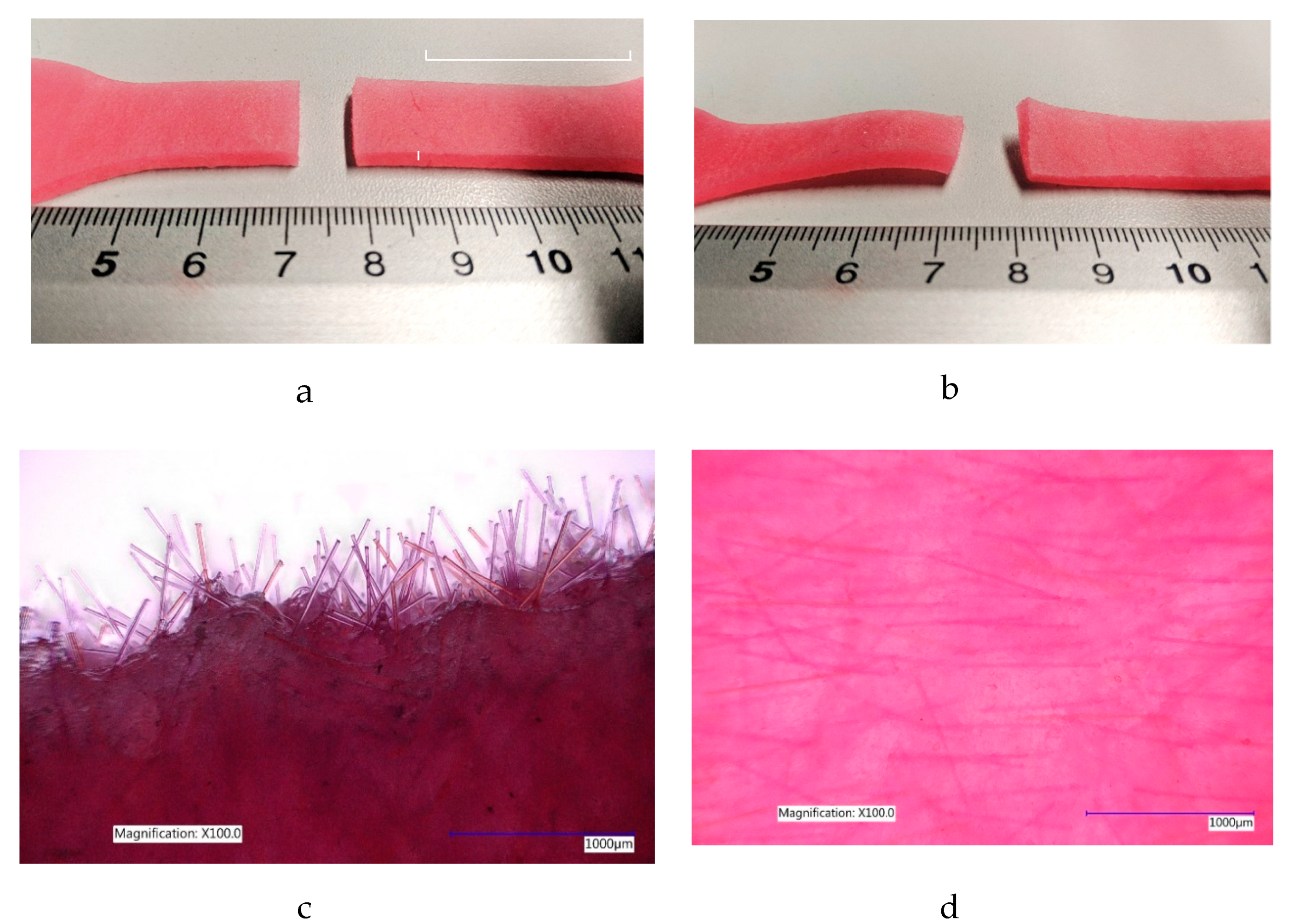 Materials 12 03647 g003