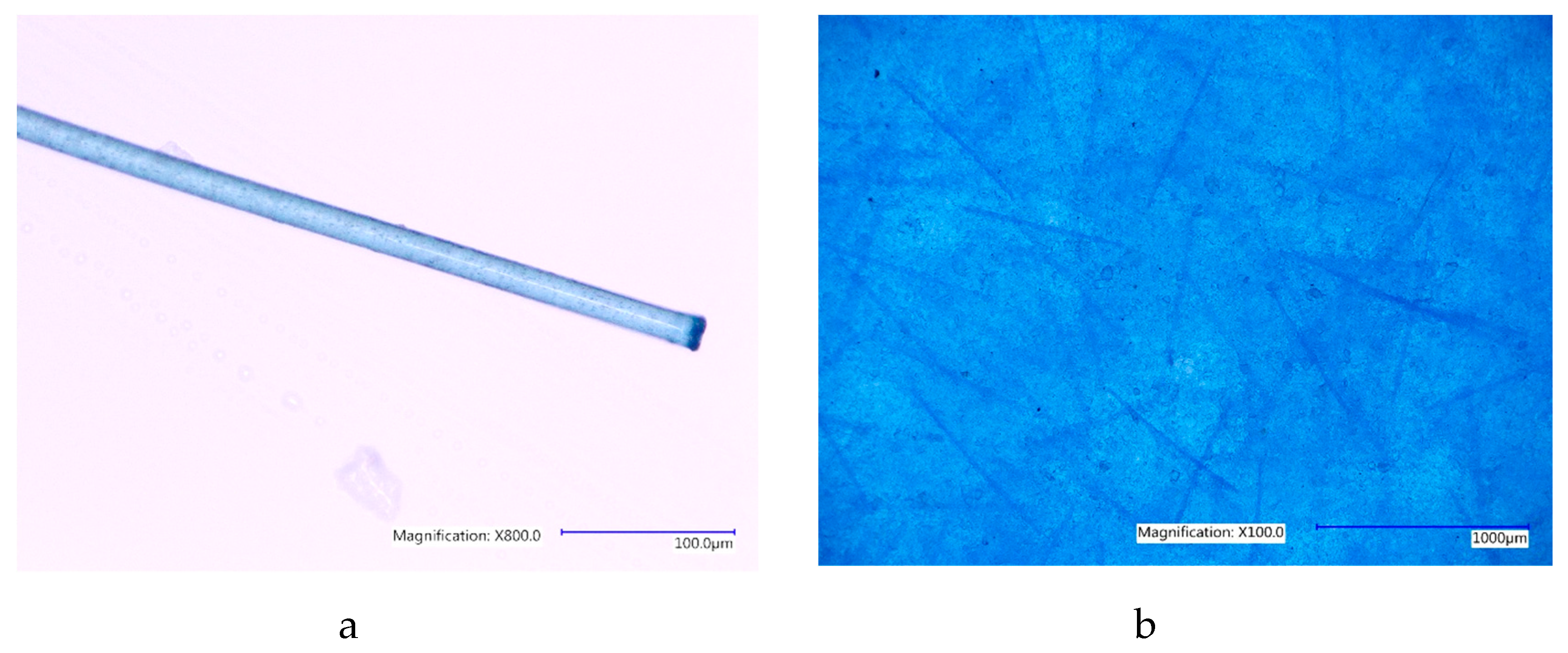Materials 12 03647 g006