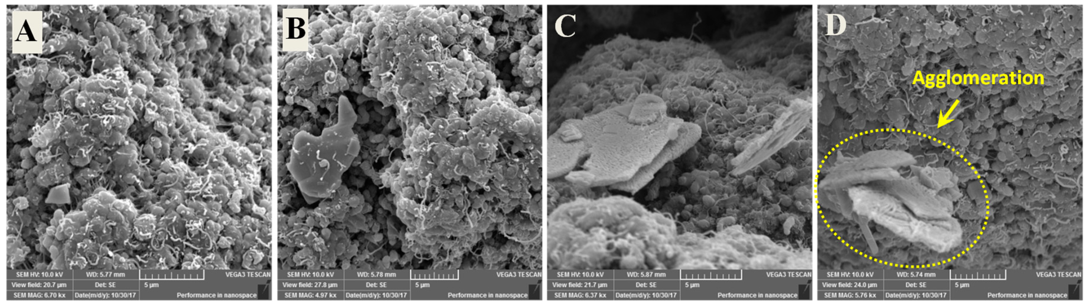 Materials 12 03665 g007 Materials 12 03665 g007