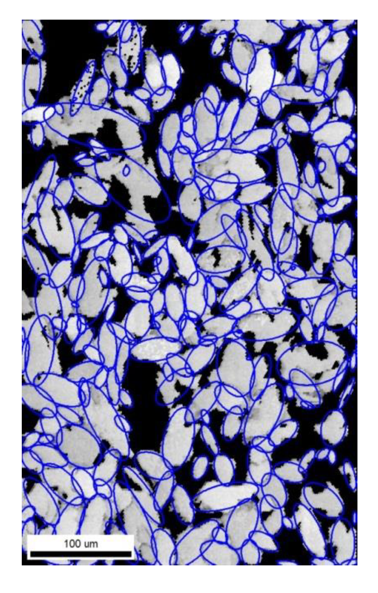 Materials 12 03668 g002