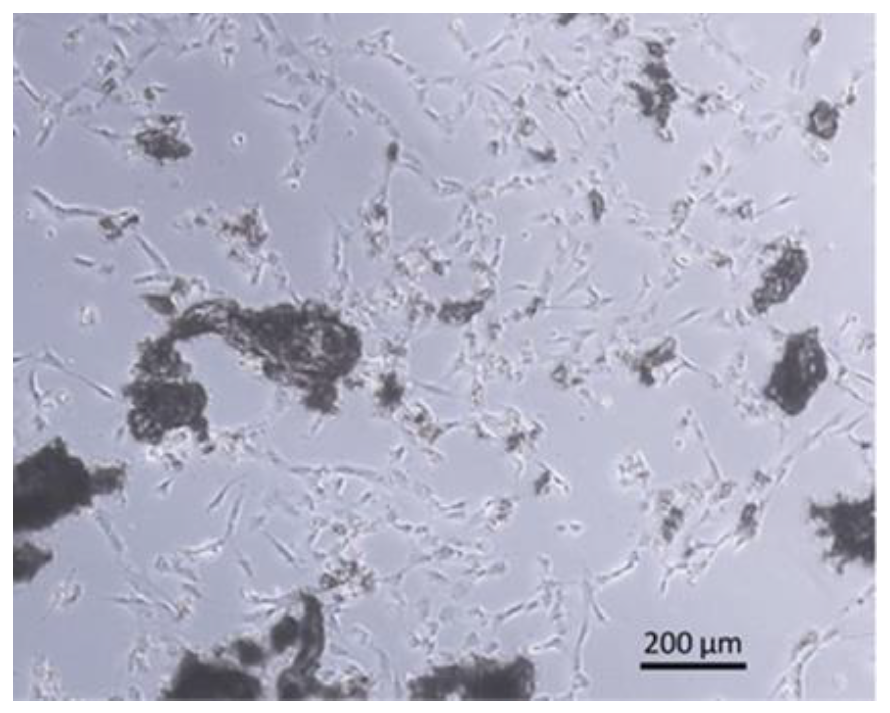 Materials 12 03695 g009
