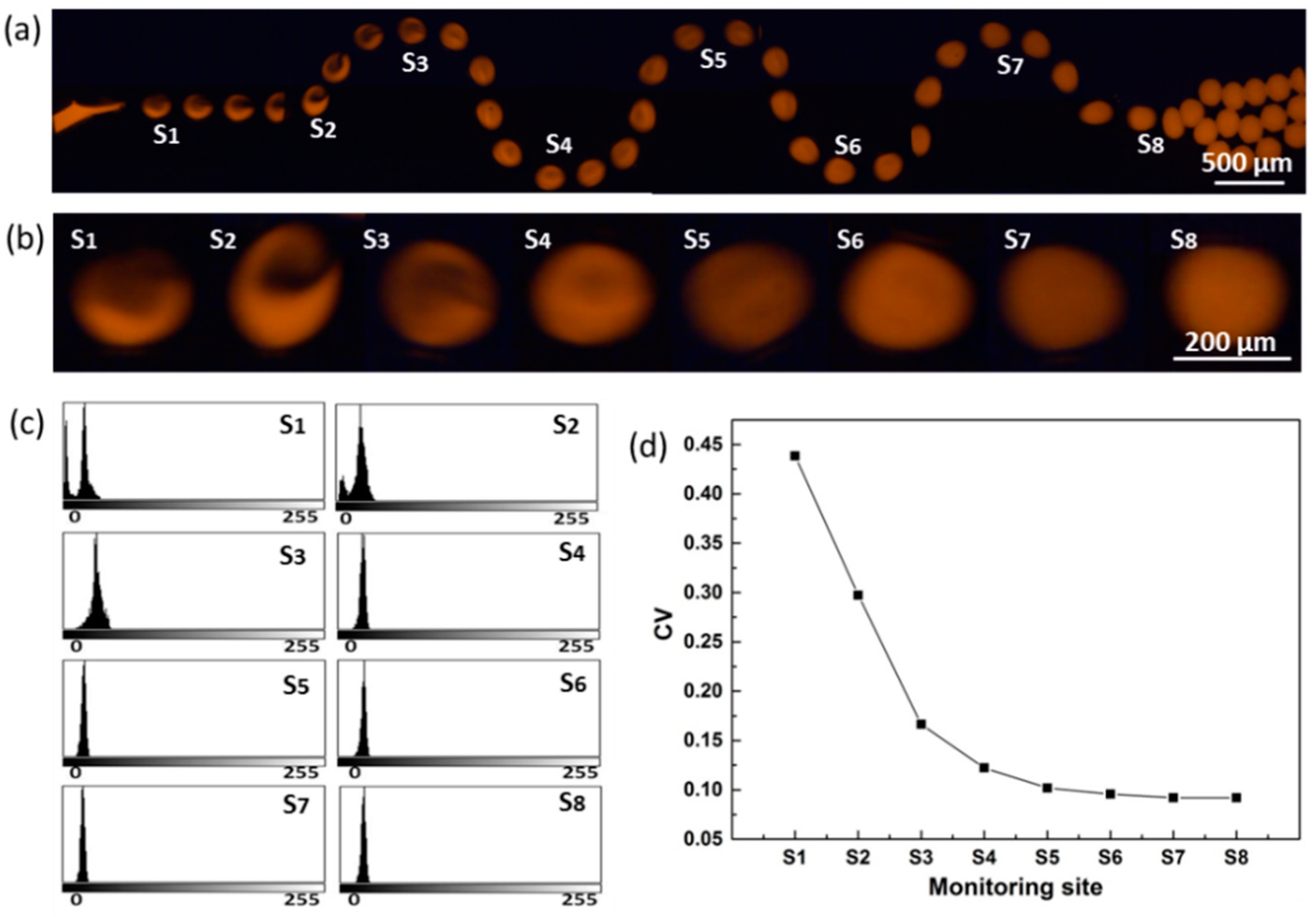 Materials 12 03712 g003