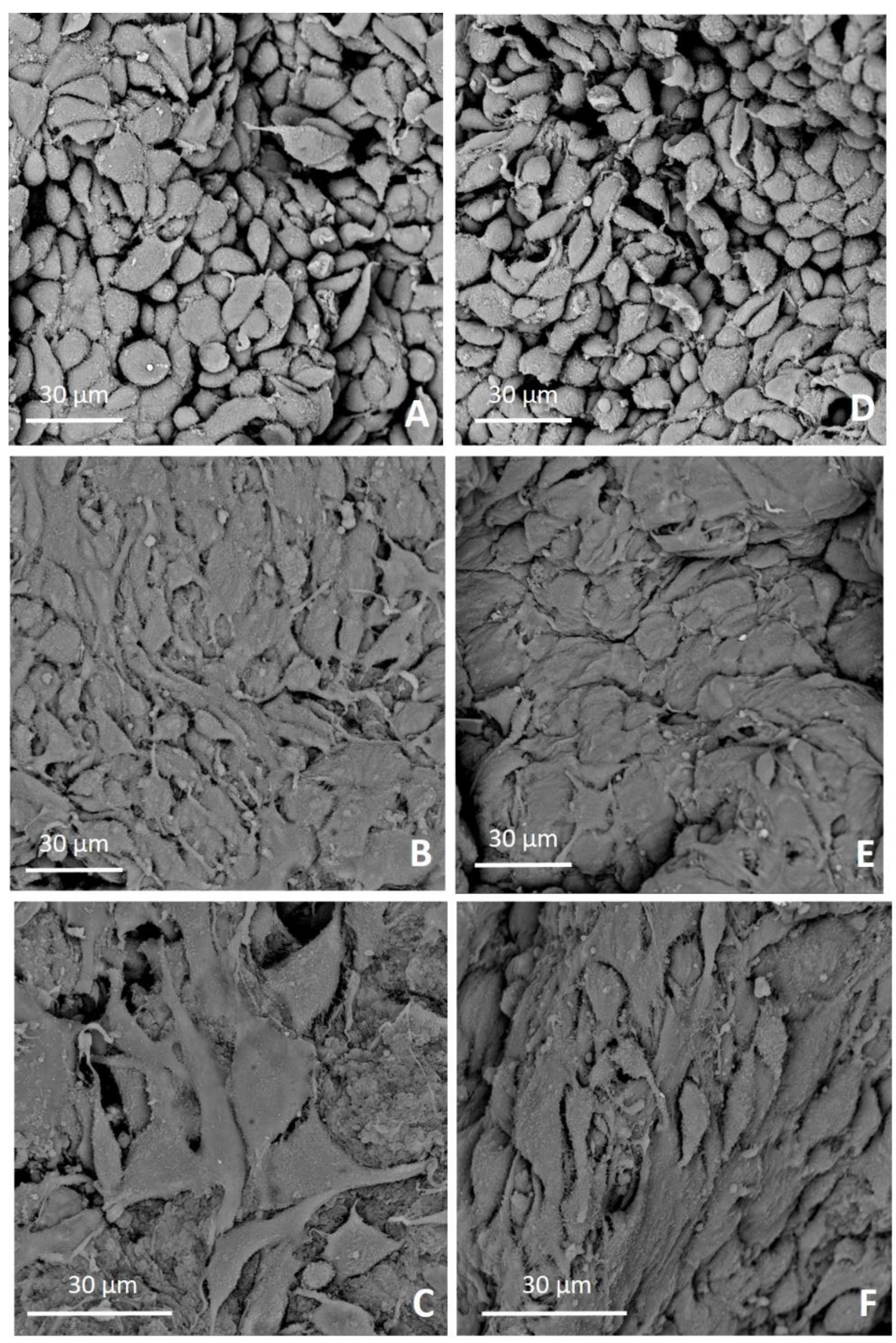 Materials 12 03719 g008