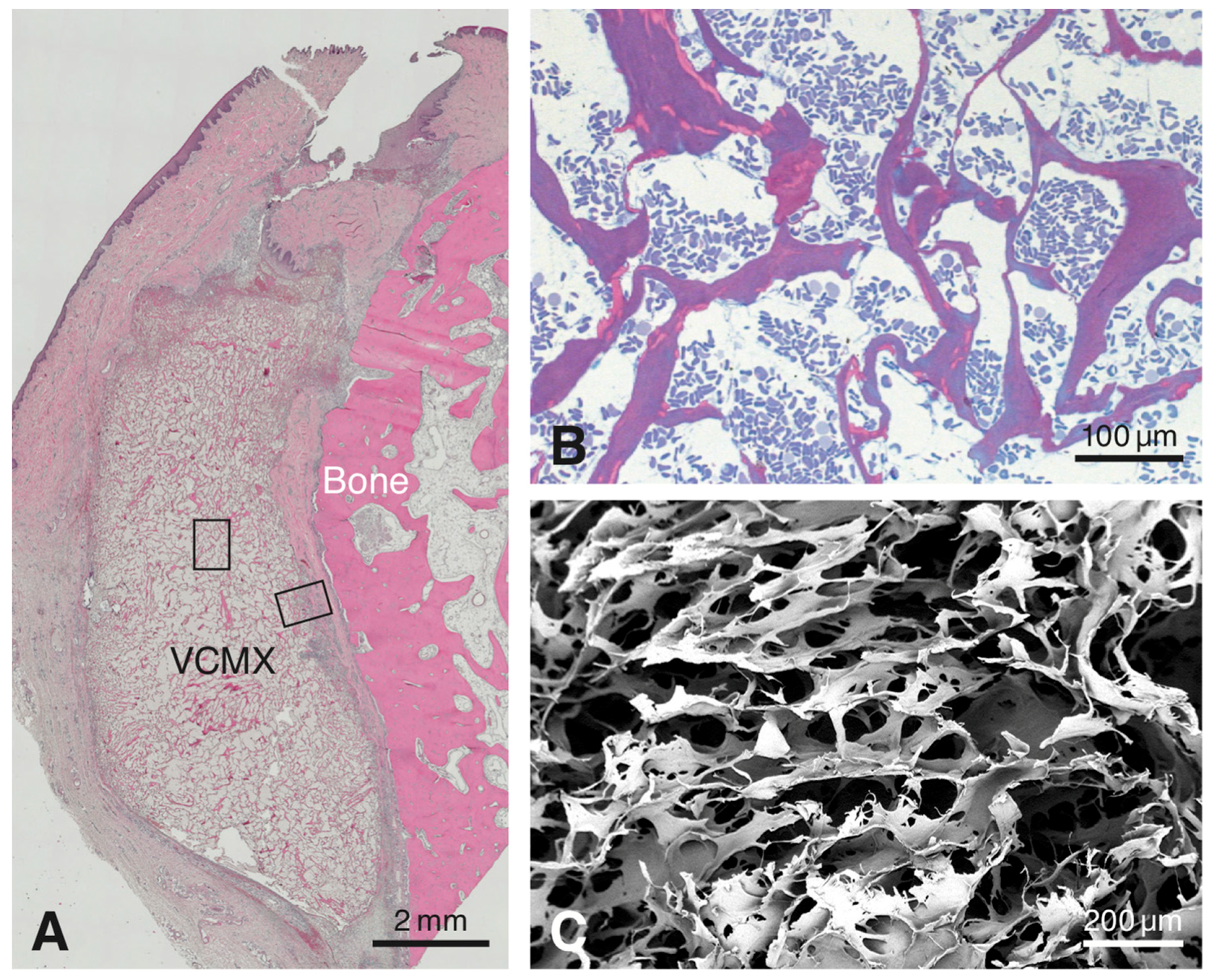 Materials 12 03721 g001 Materials 12 03721 g001