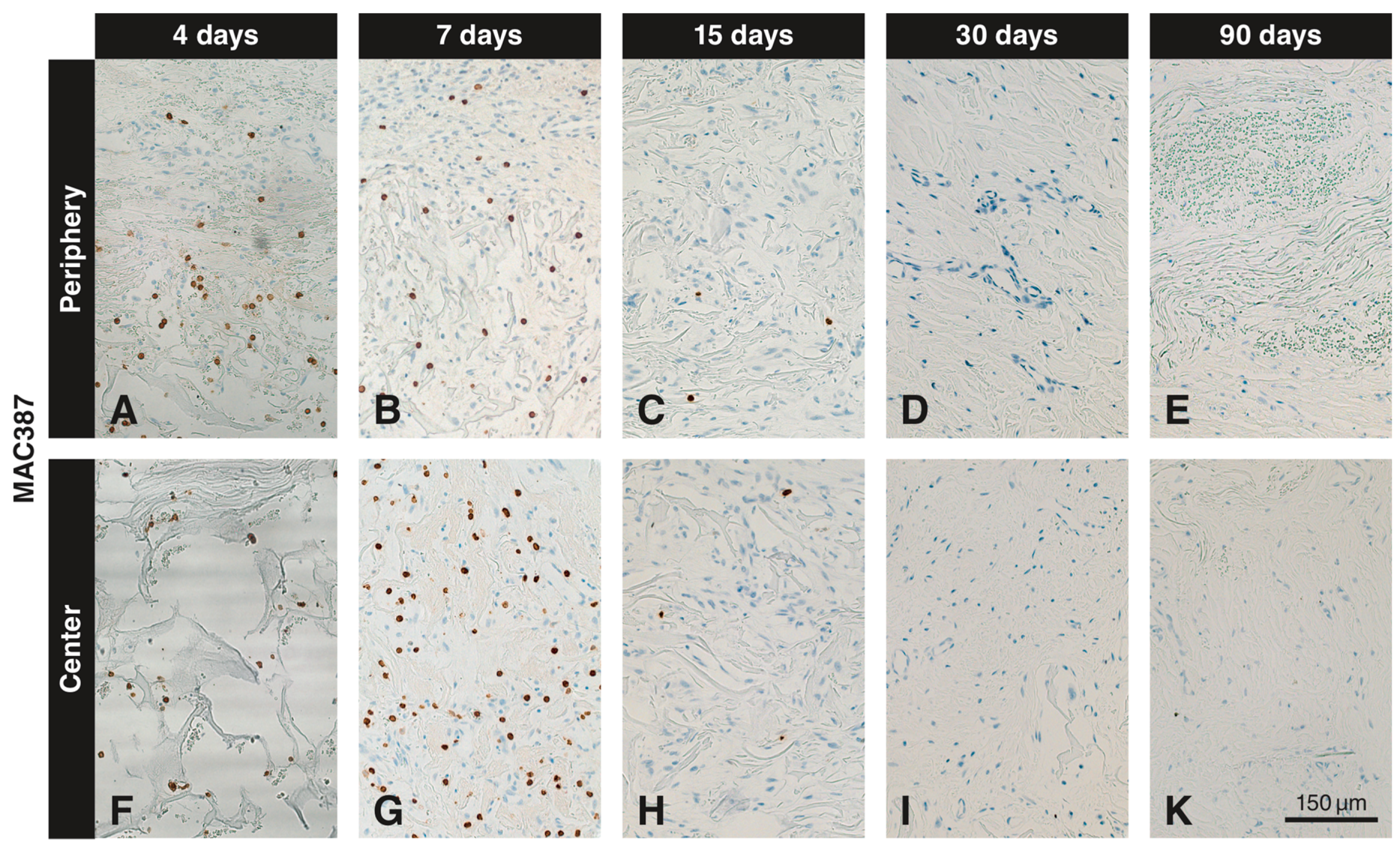 Materials 12 03721 g003 Materials 12 03721 g003
