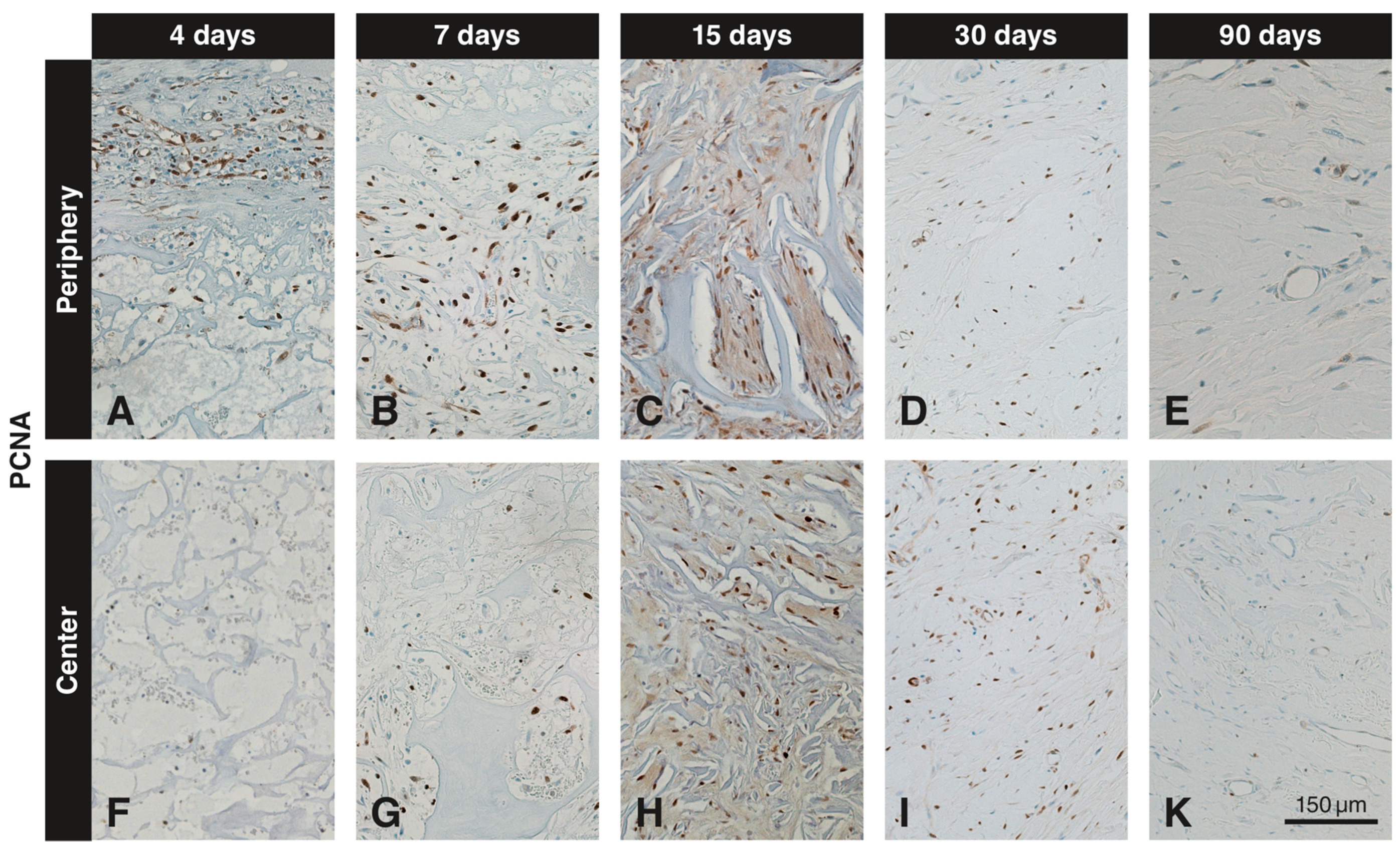 Materials 12 03721 g004 Materials 12 03721 g004