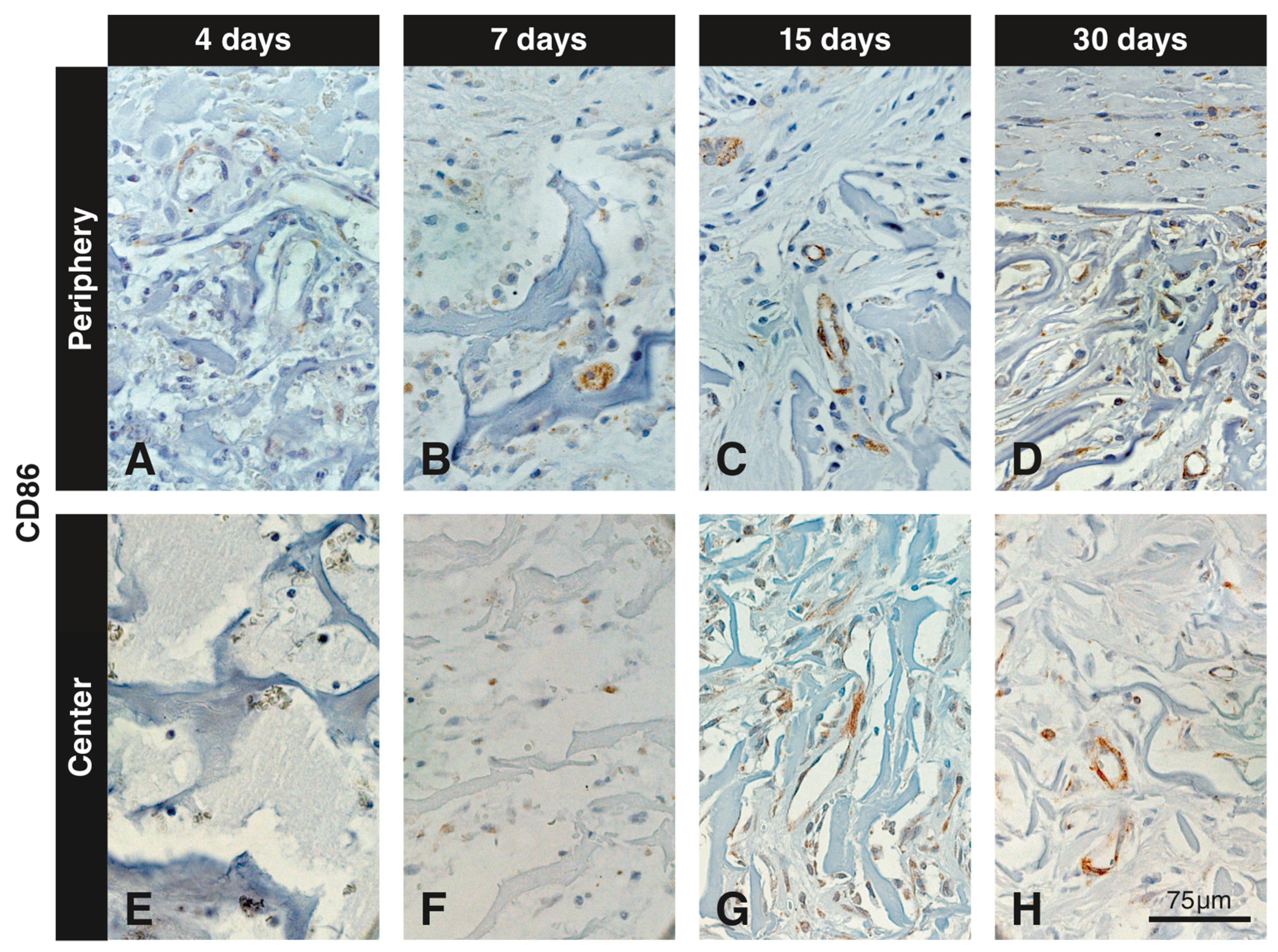 Materials 12 03721 g006 Materials 12 03721 g006